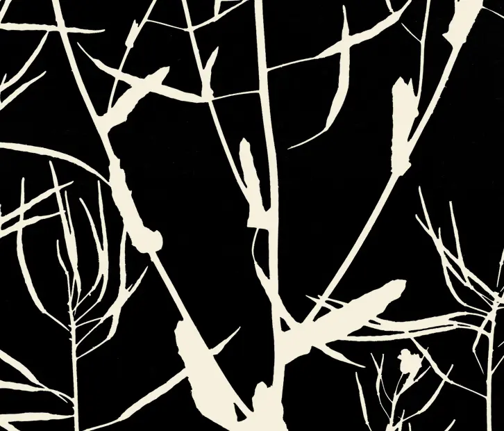 Kurage - Traces Of Yellow
