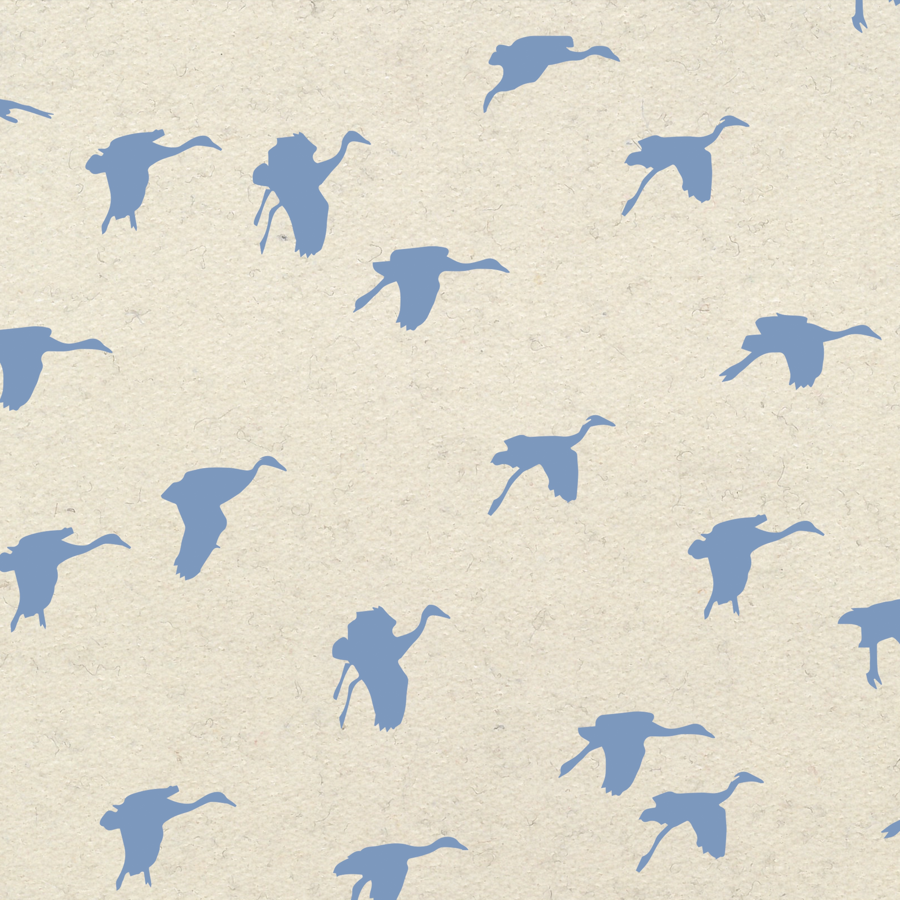 Aquatic Crane