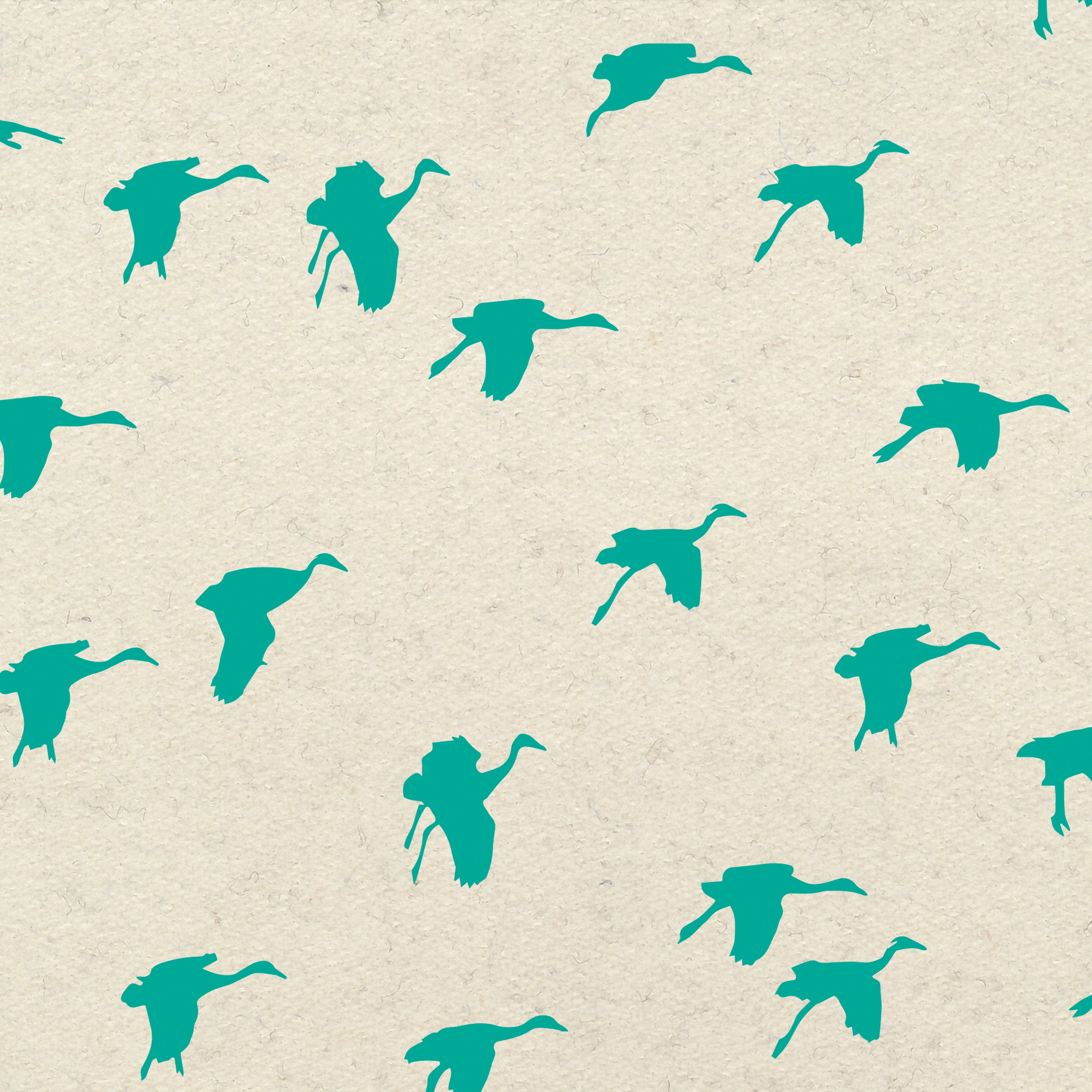 Aquatic Crane