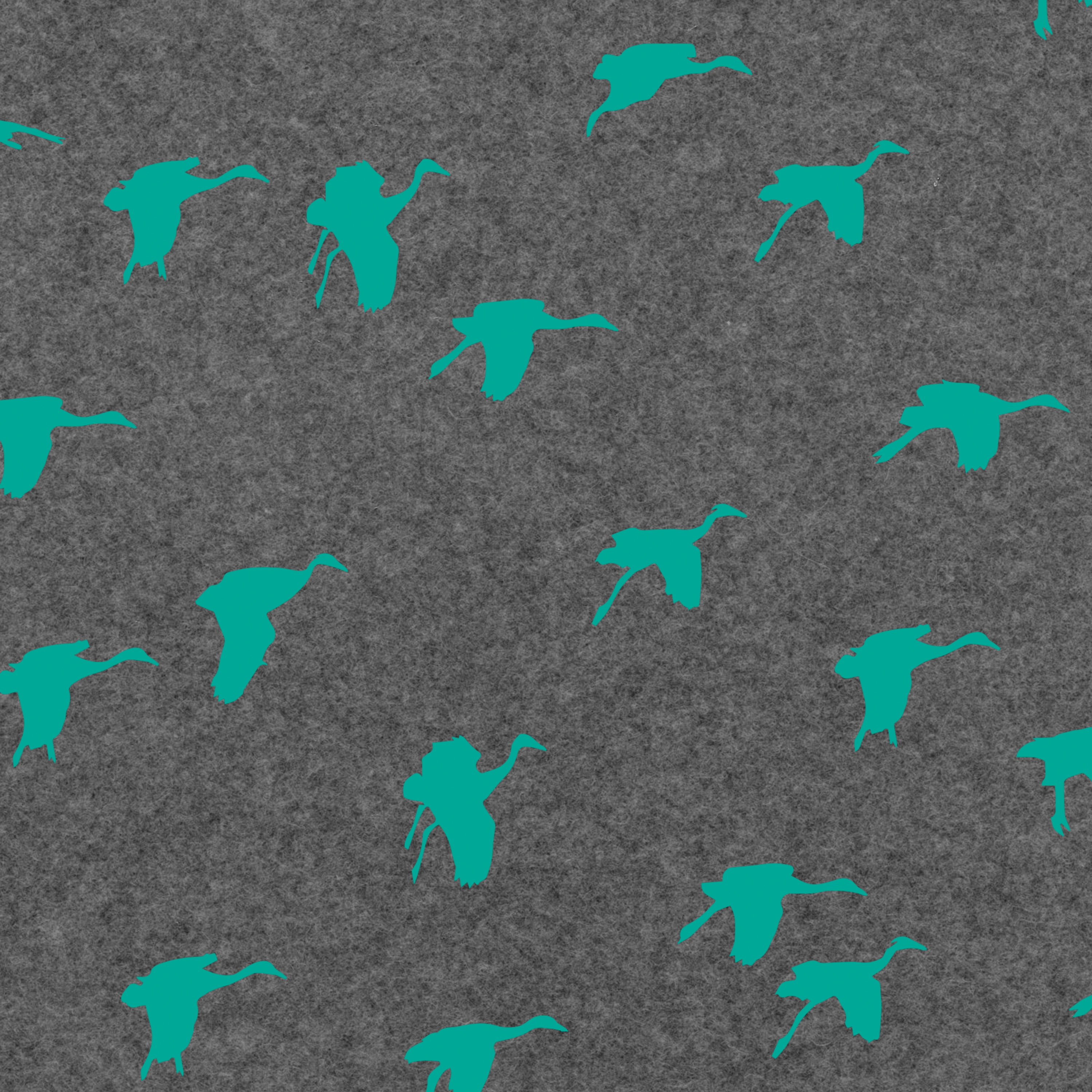 Aquatic Crane