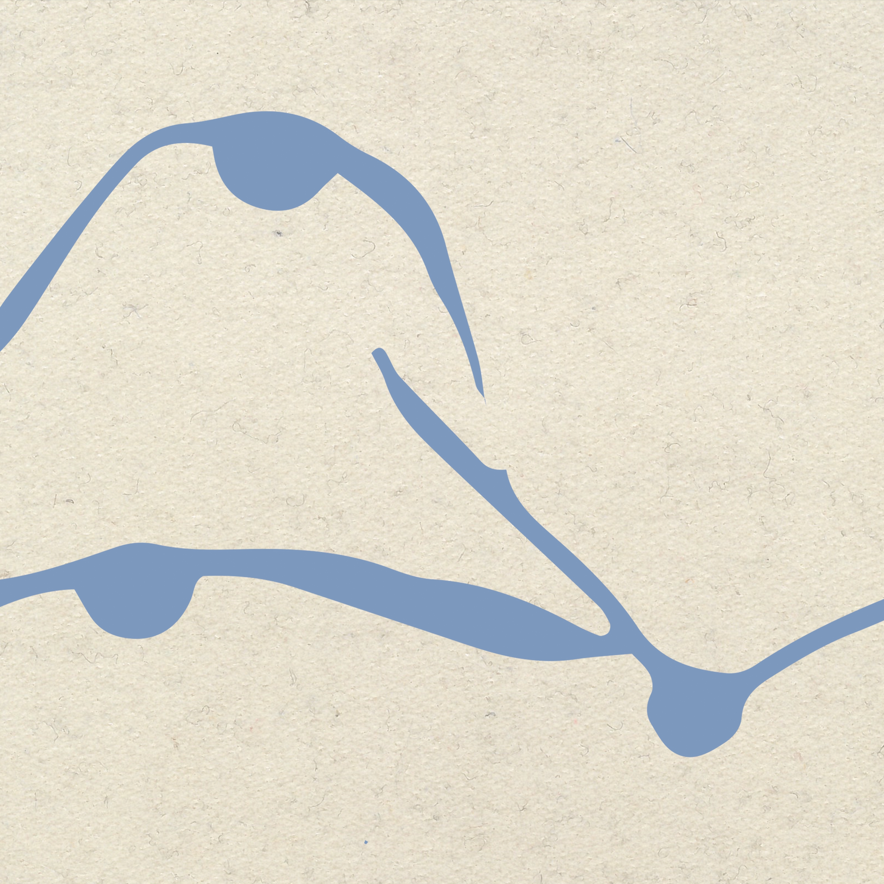 Aquatic Duck