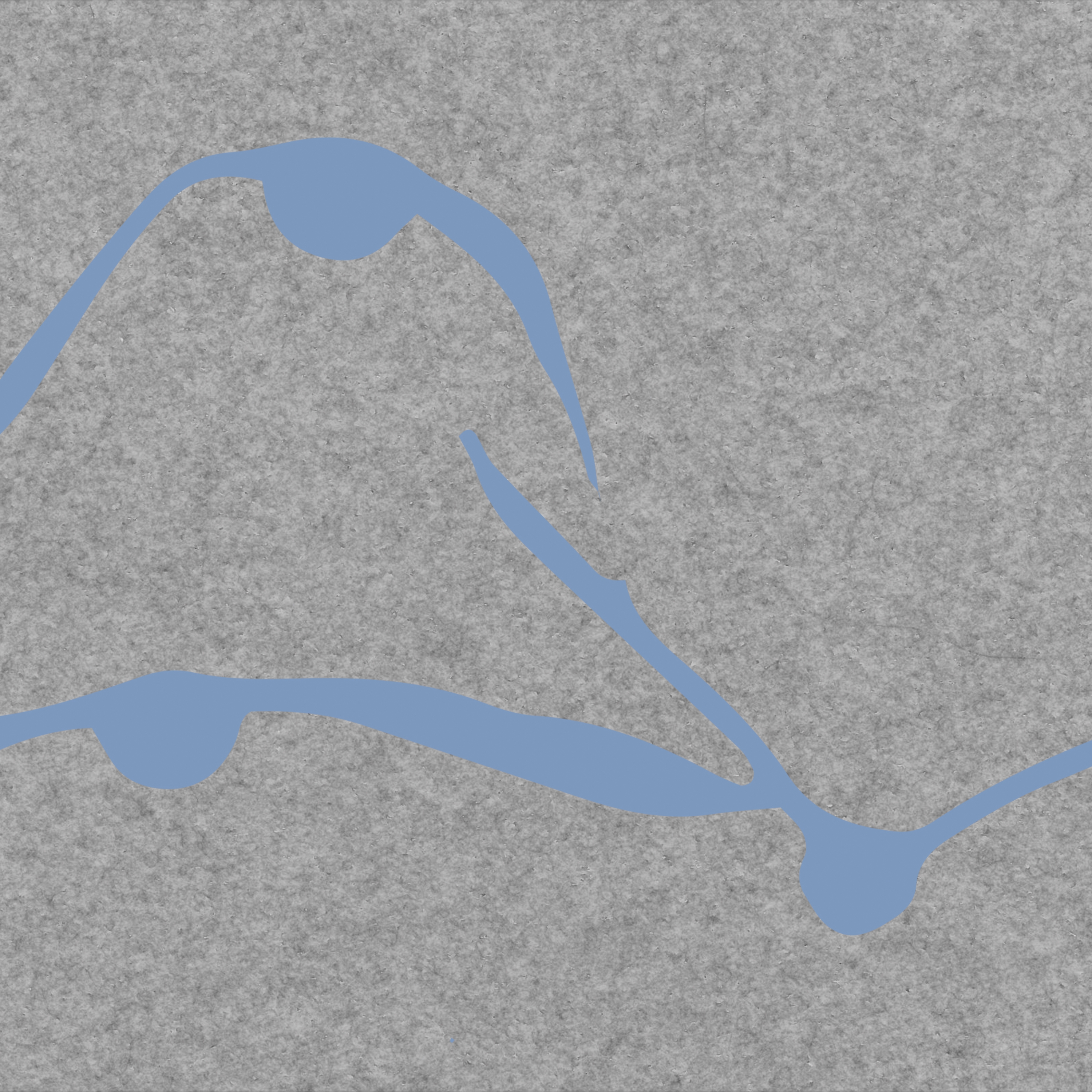 Aquatic Duck