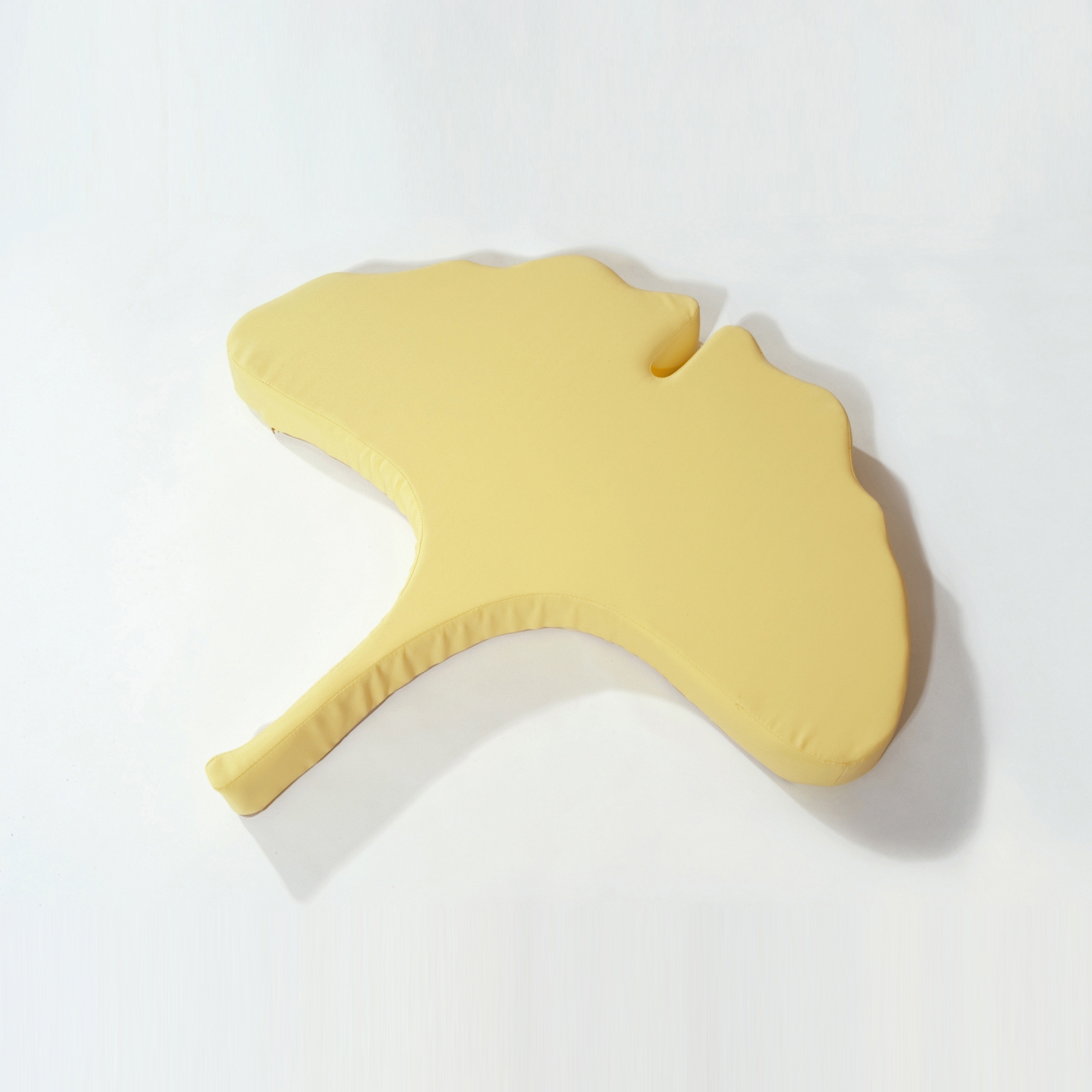 Mostra il prodotto Foglia Ginko® del produttore PLAY+