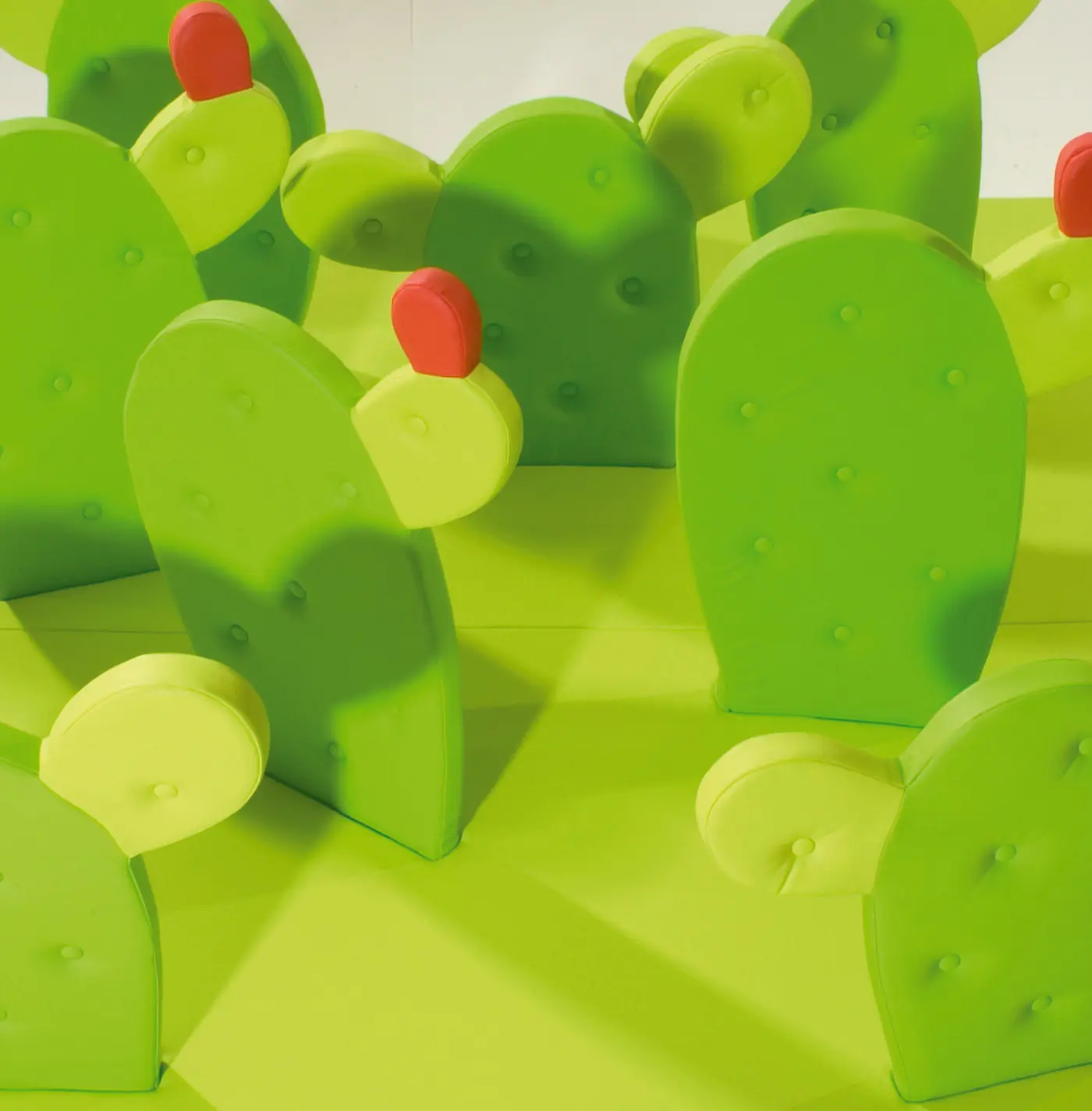 PLAY+ - Cactus®