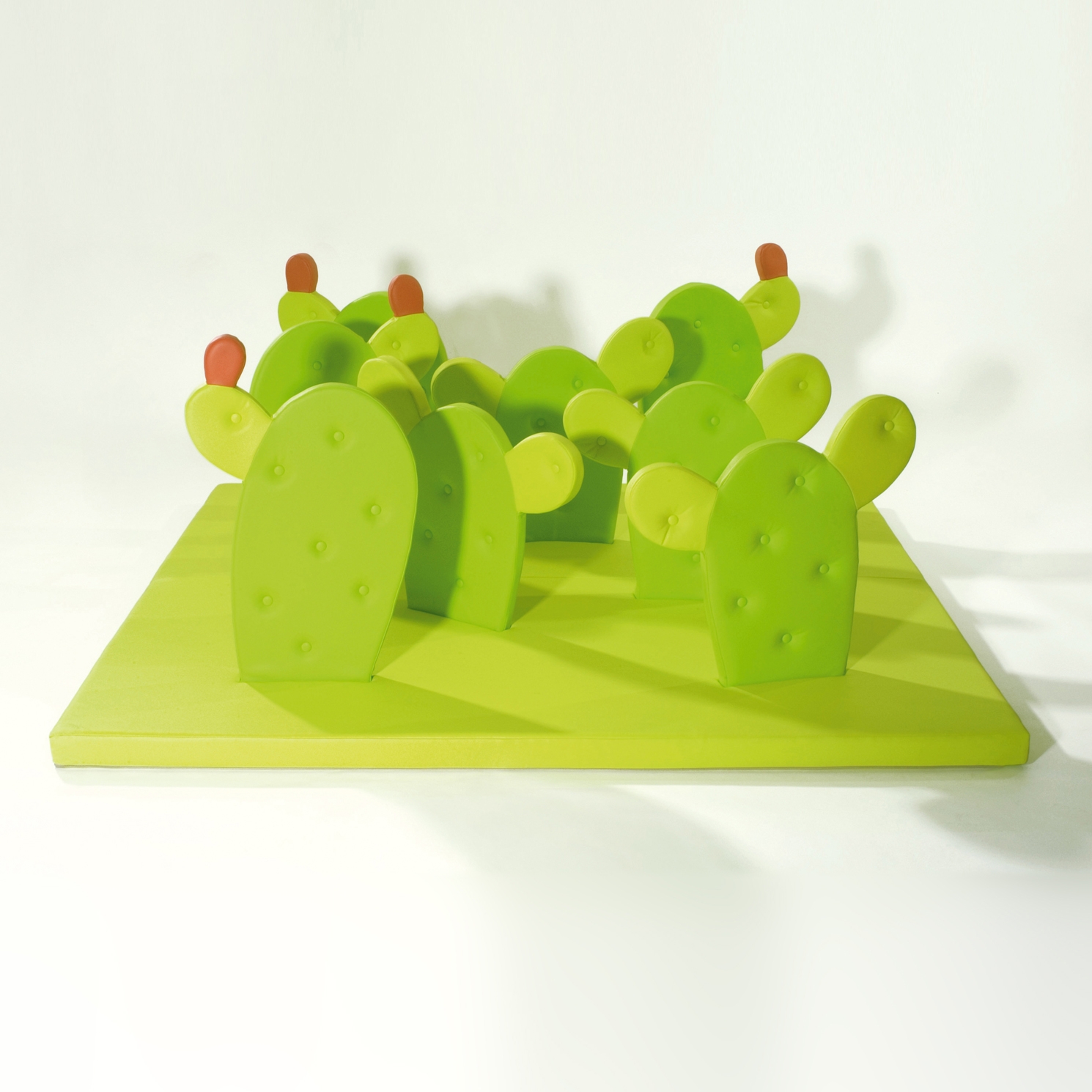 Mostra il prodotto Cactus® del produttore PLAY+