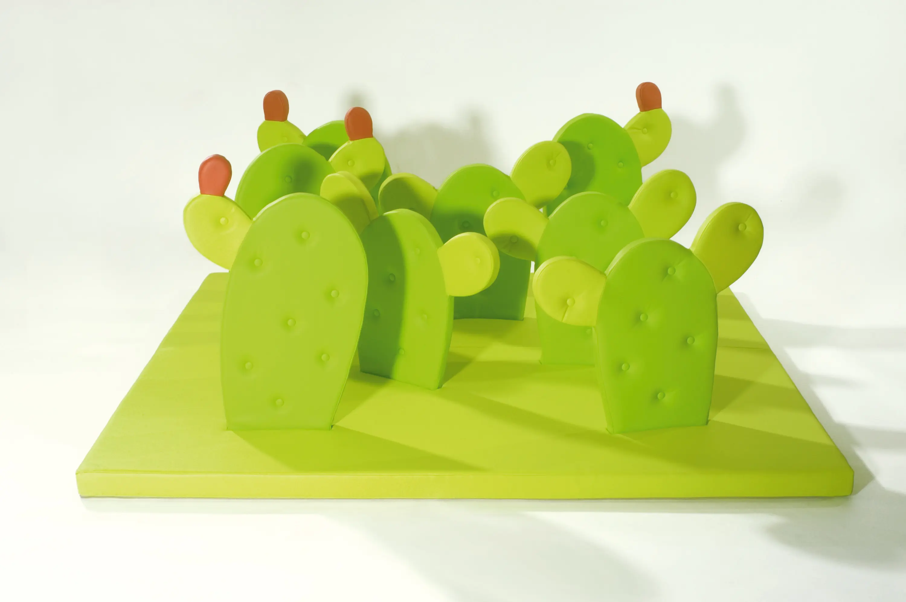 PLAY+ - Cactus®