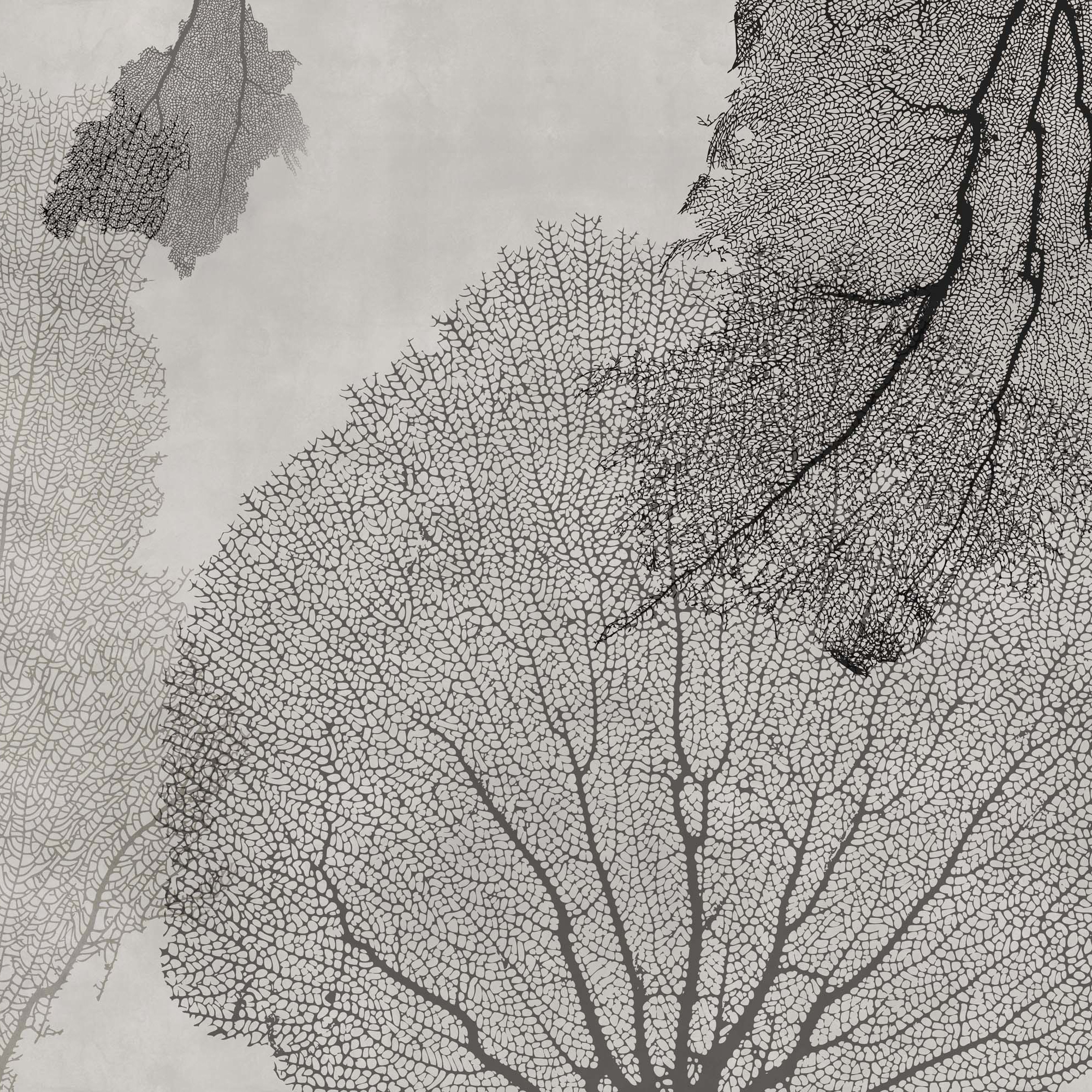 Display product Cinnamon from manufacturer GLAMORA