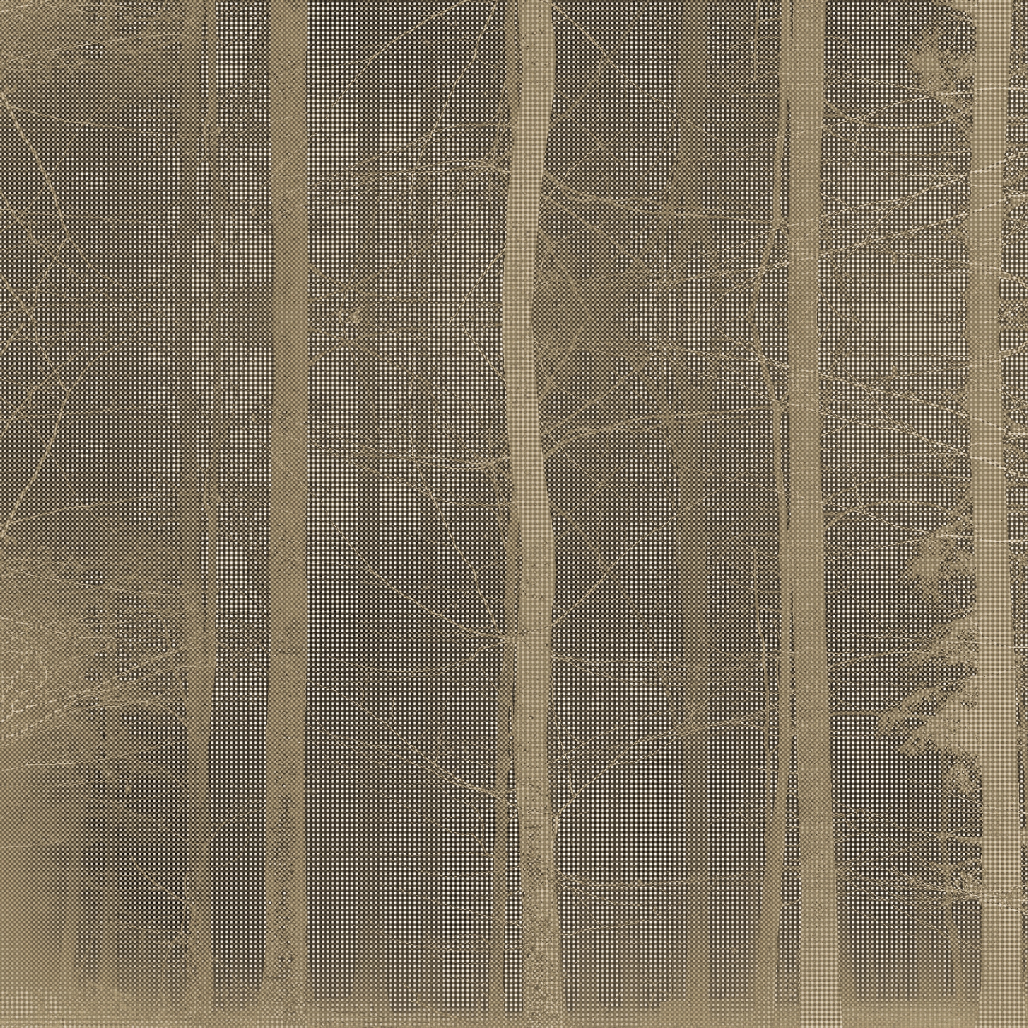 Mostra il prodotto Forest del produttore GLAMORA