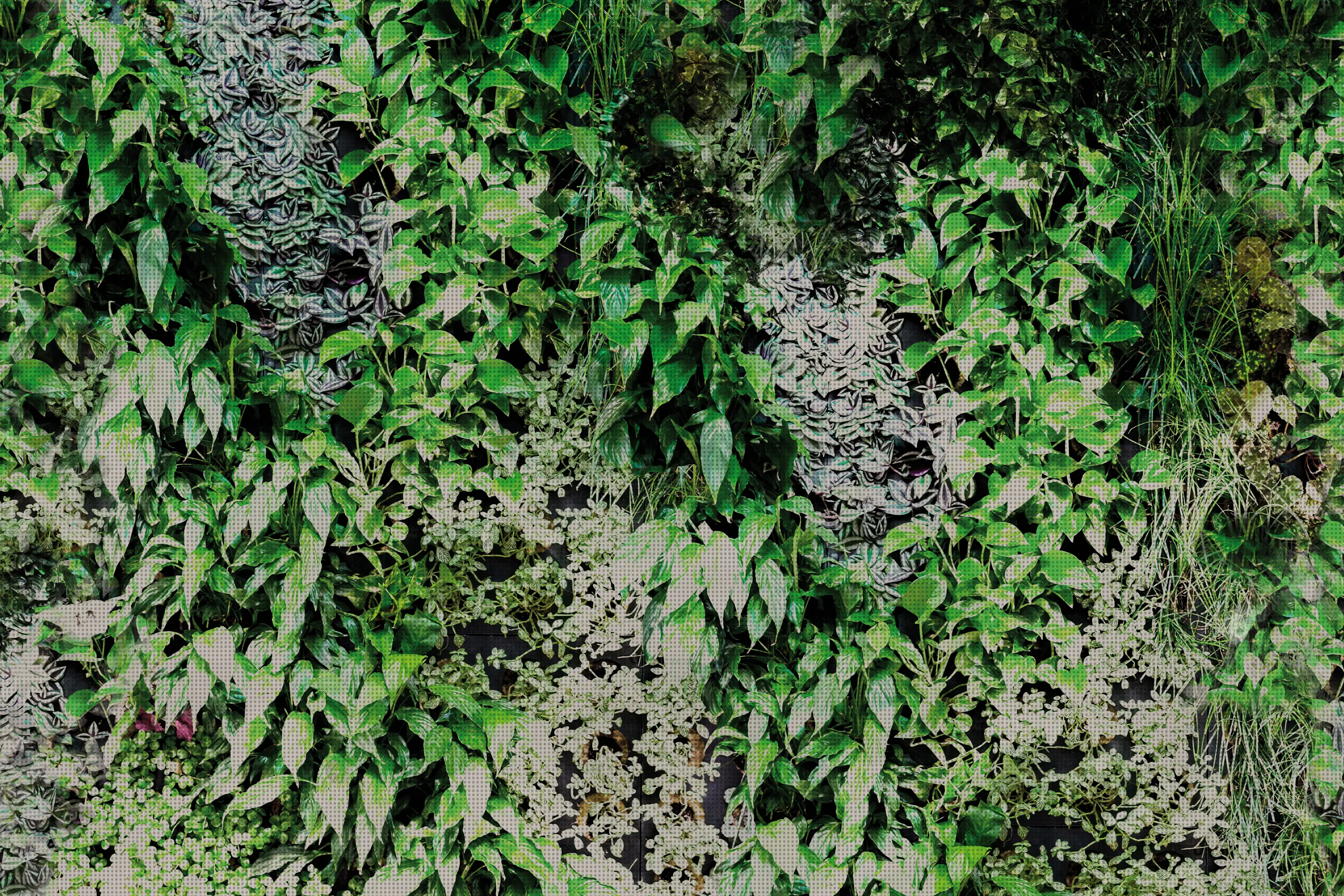 GLAMORA - Garden