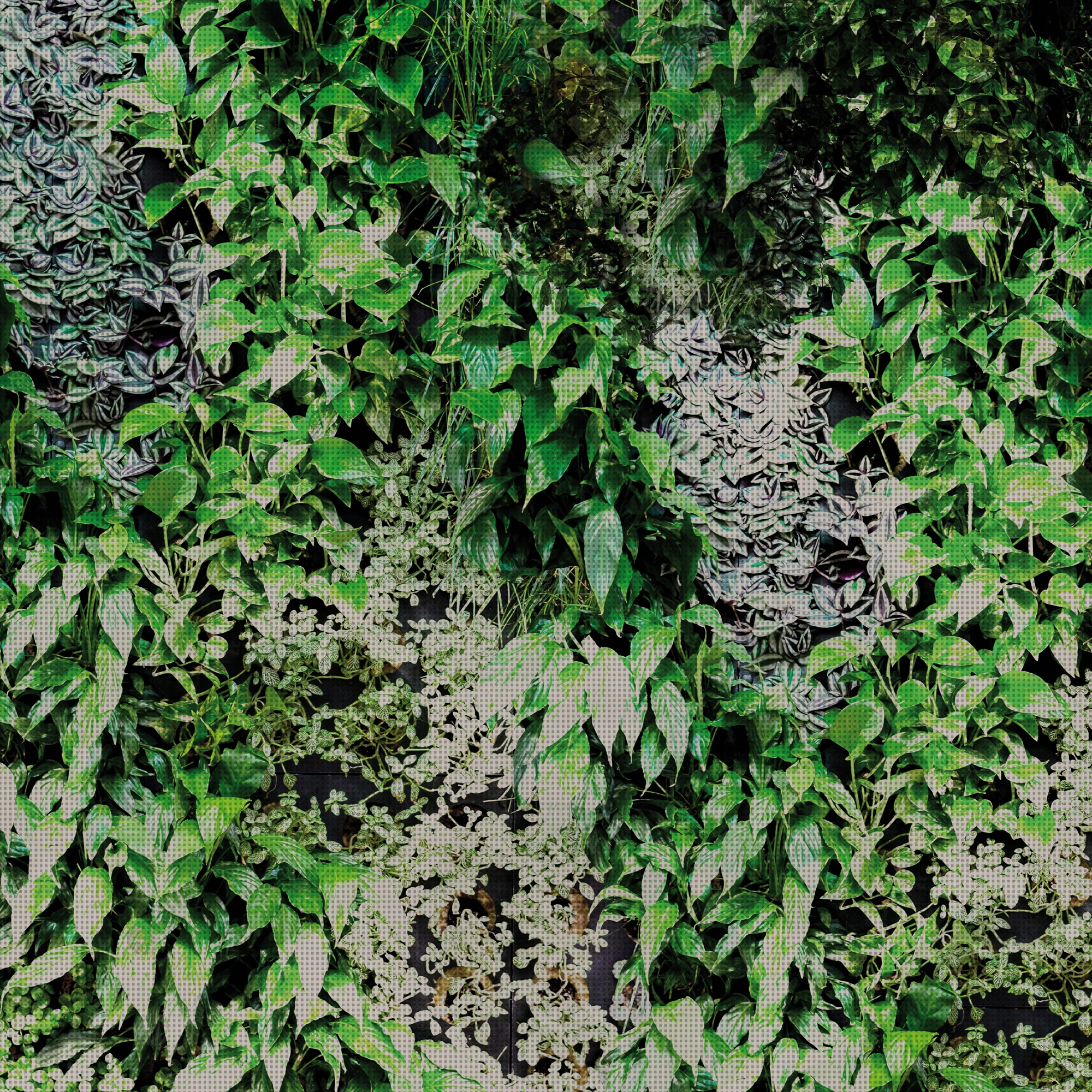 Display product Garden from manufacturer GLAMORA