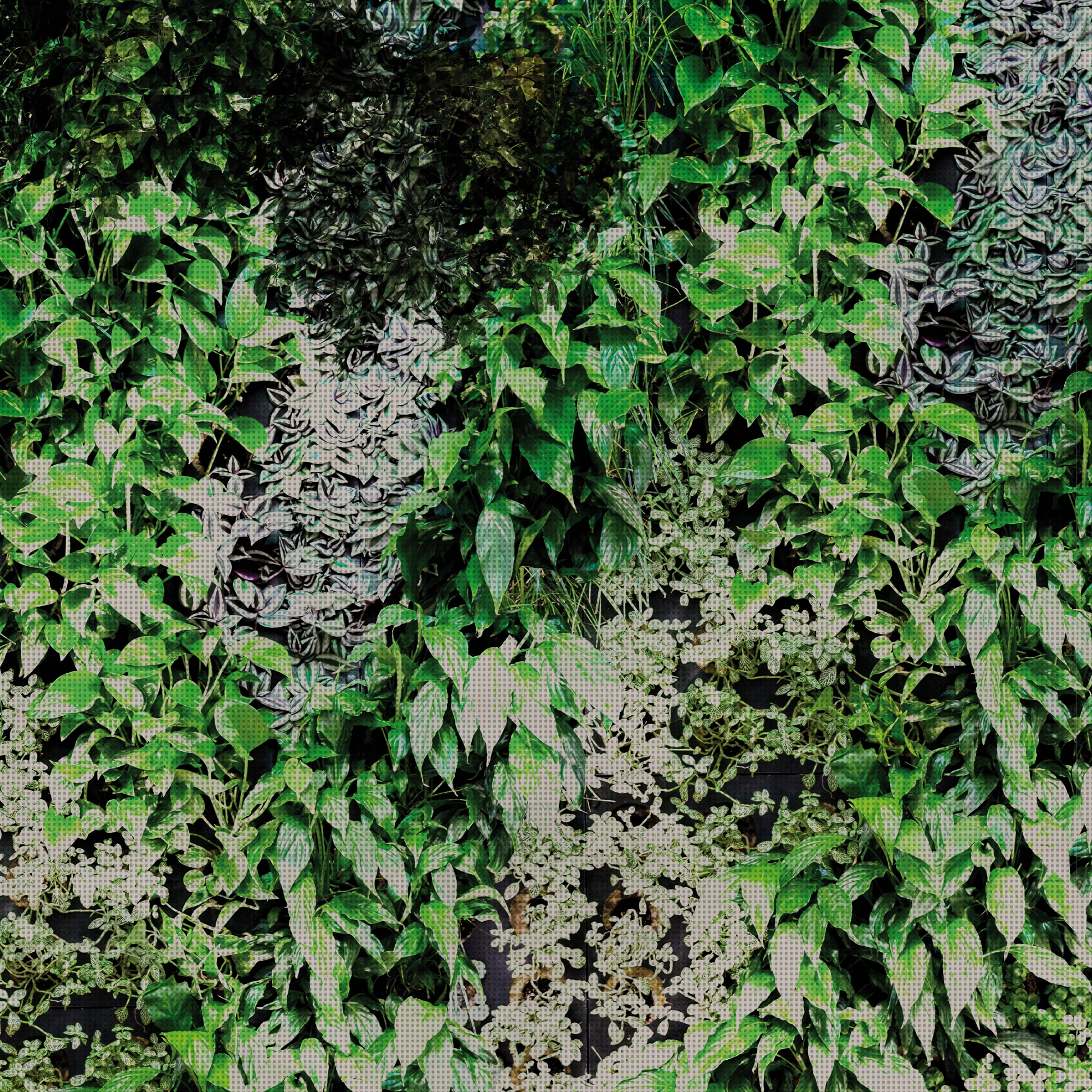 Display product Garden from manufacturer GLAMORA
