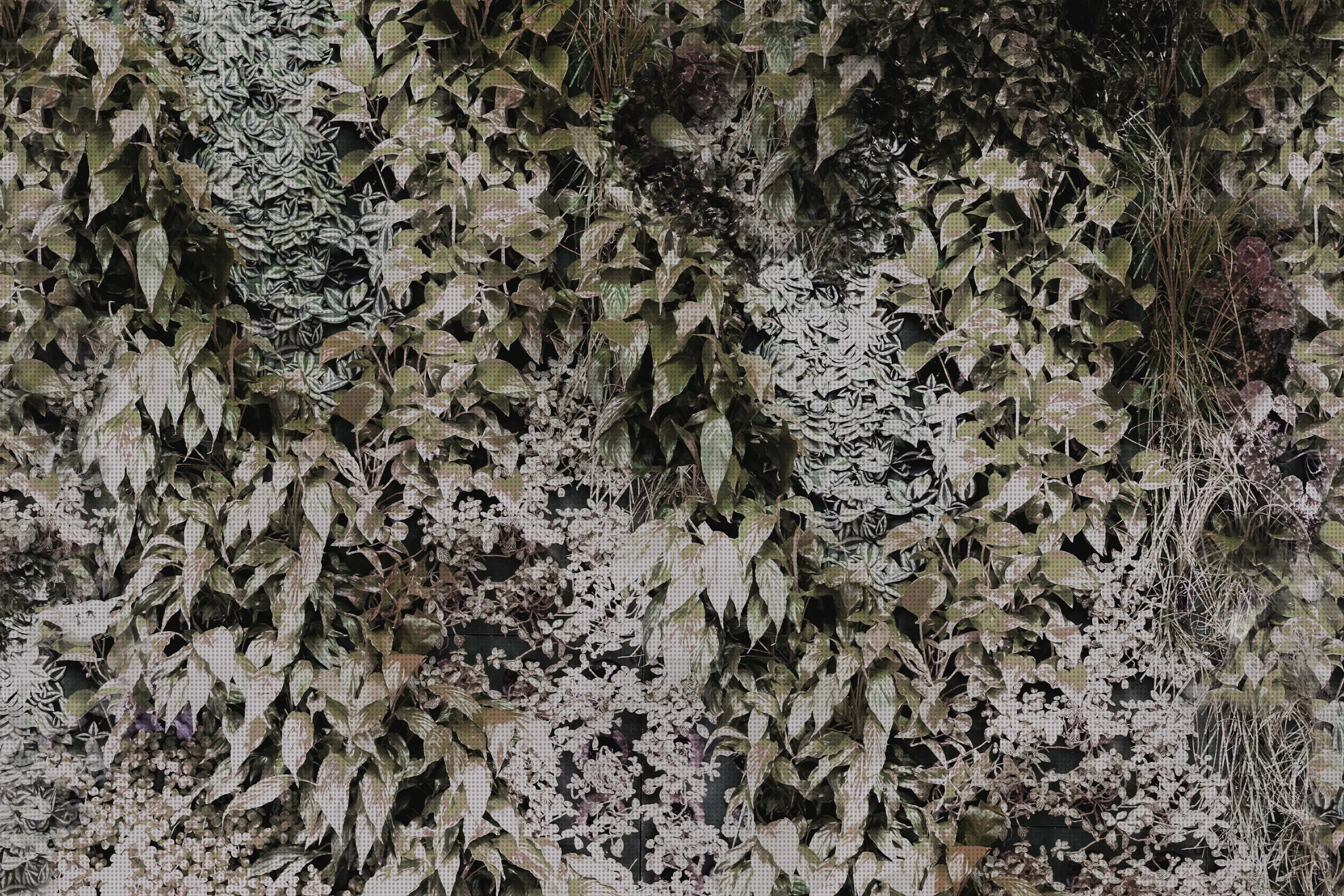 GLAMORA - Garden