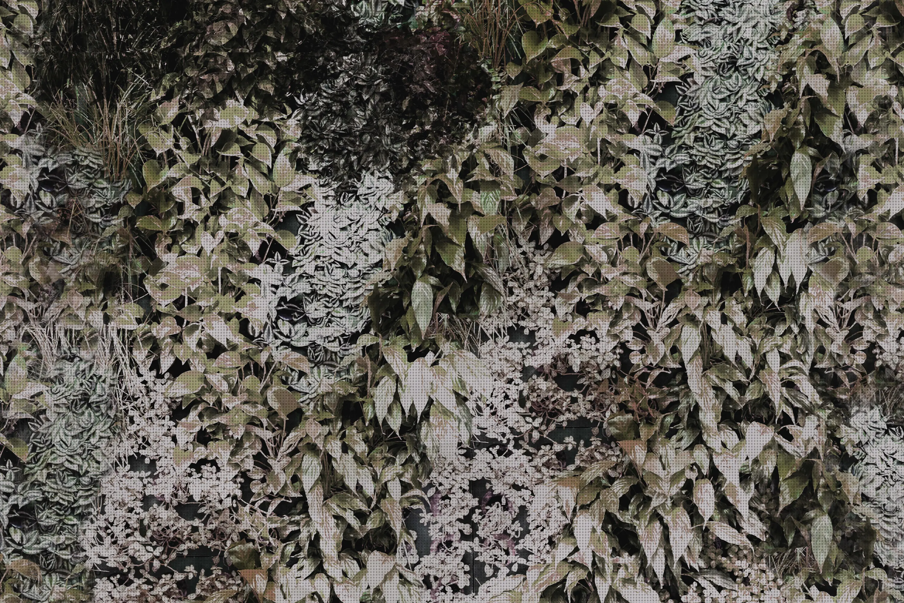 GLAMORA - Garden