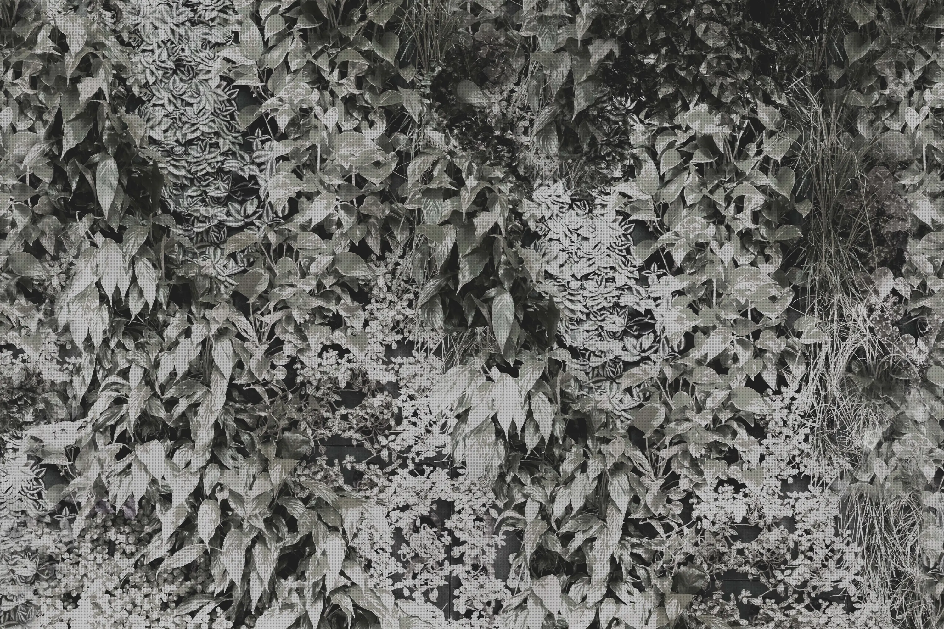 GLAMORA - Garden
