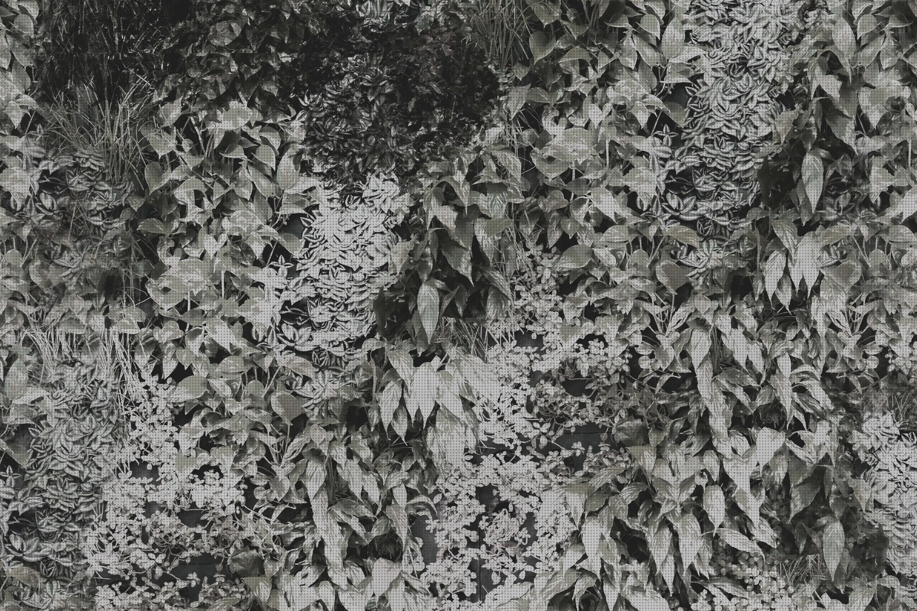 GLAMORA - Garden