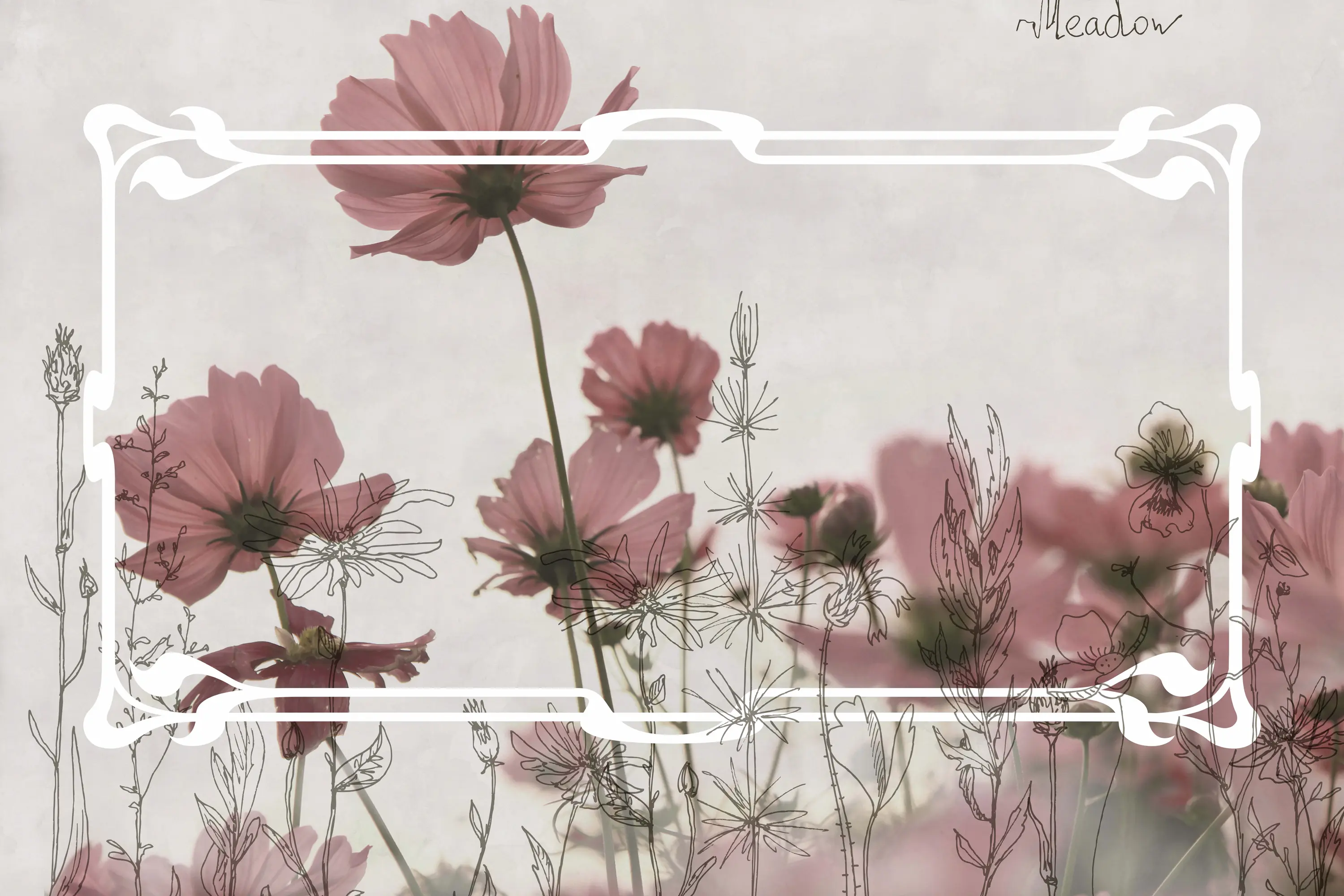 GLAMORA - Meadow