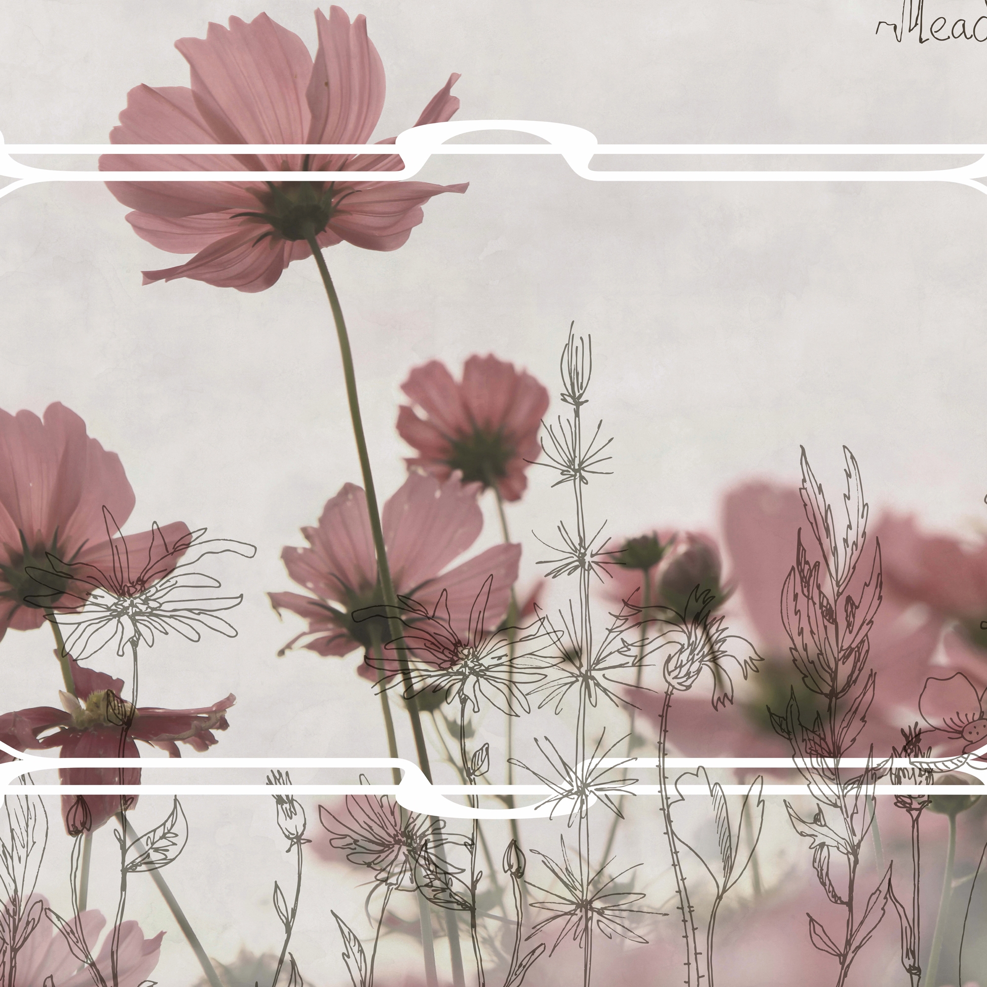 Produkt Meadow des Herstellers GLAMORA anzeigen