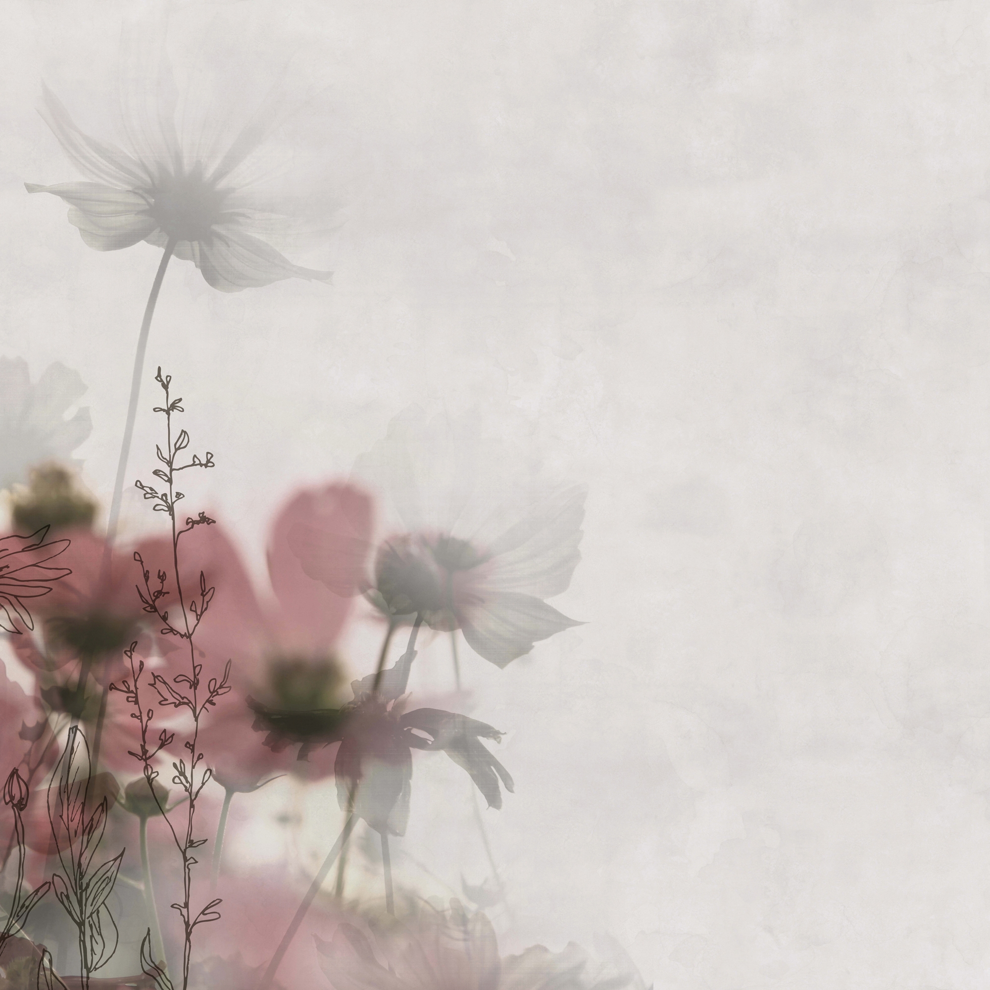 Display product Meadow from manufacturer GLAMORA
