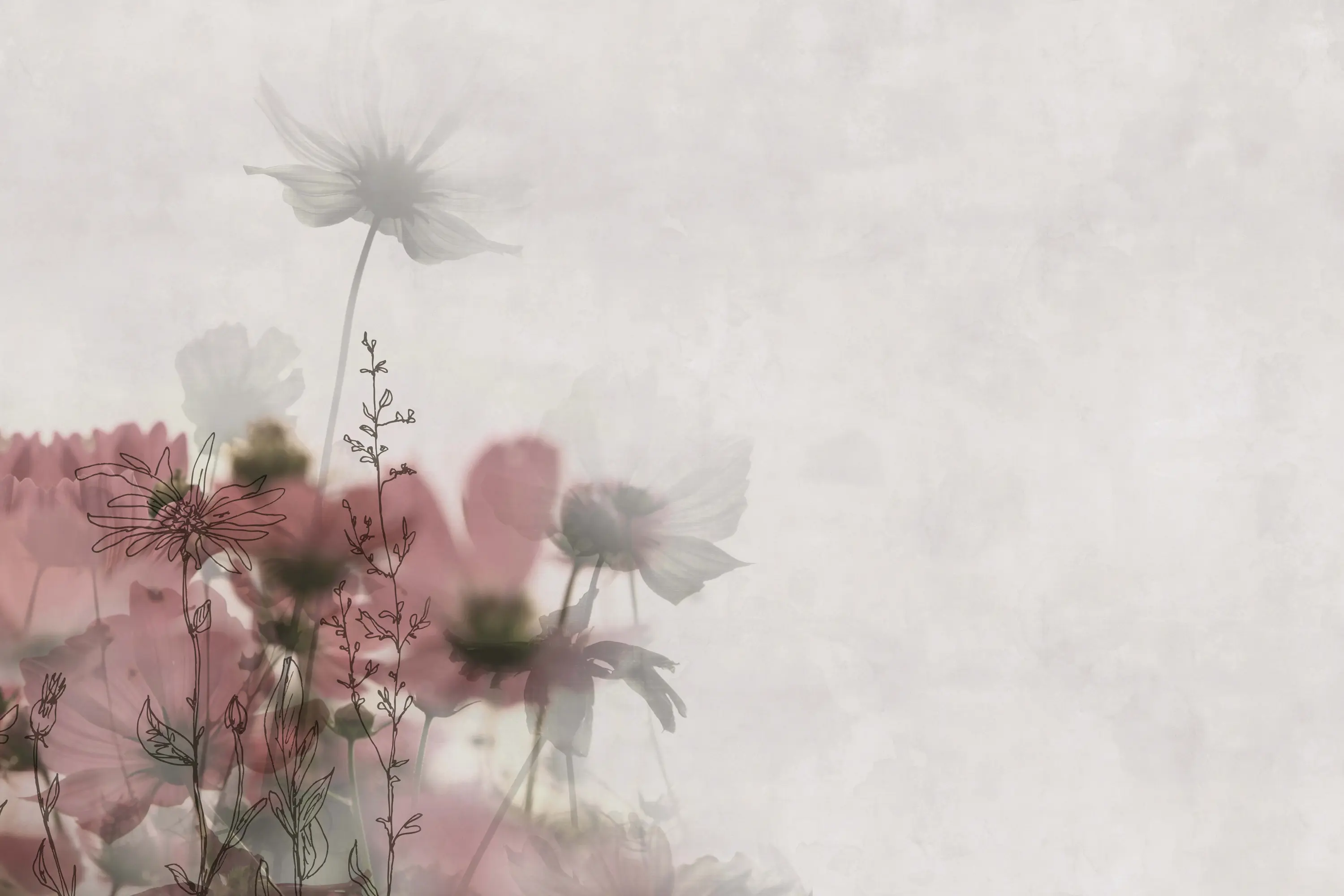 GLAMORA - Meadow