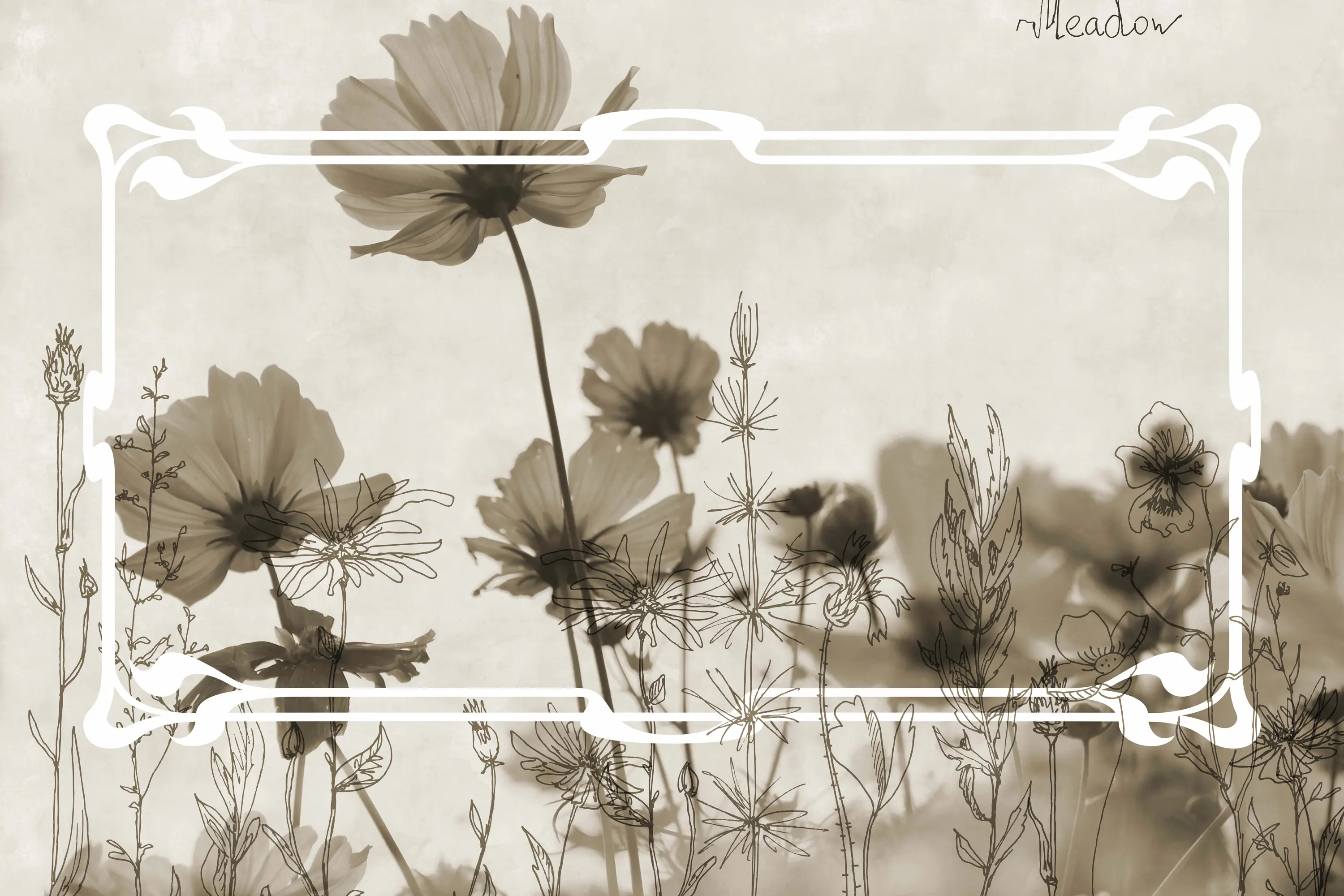 GLAMORA - Meadow