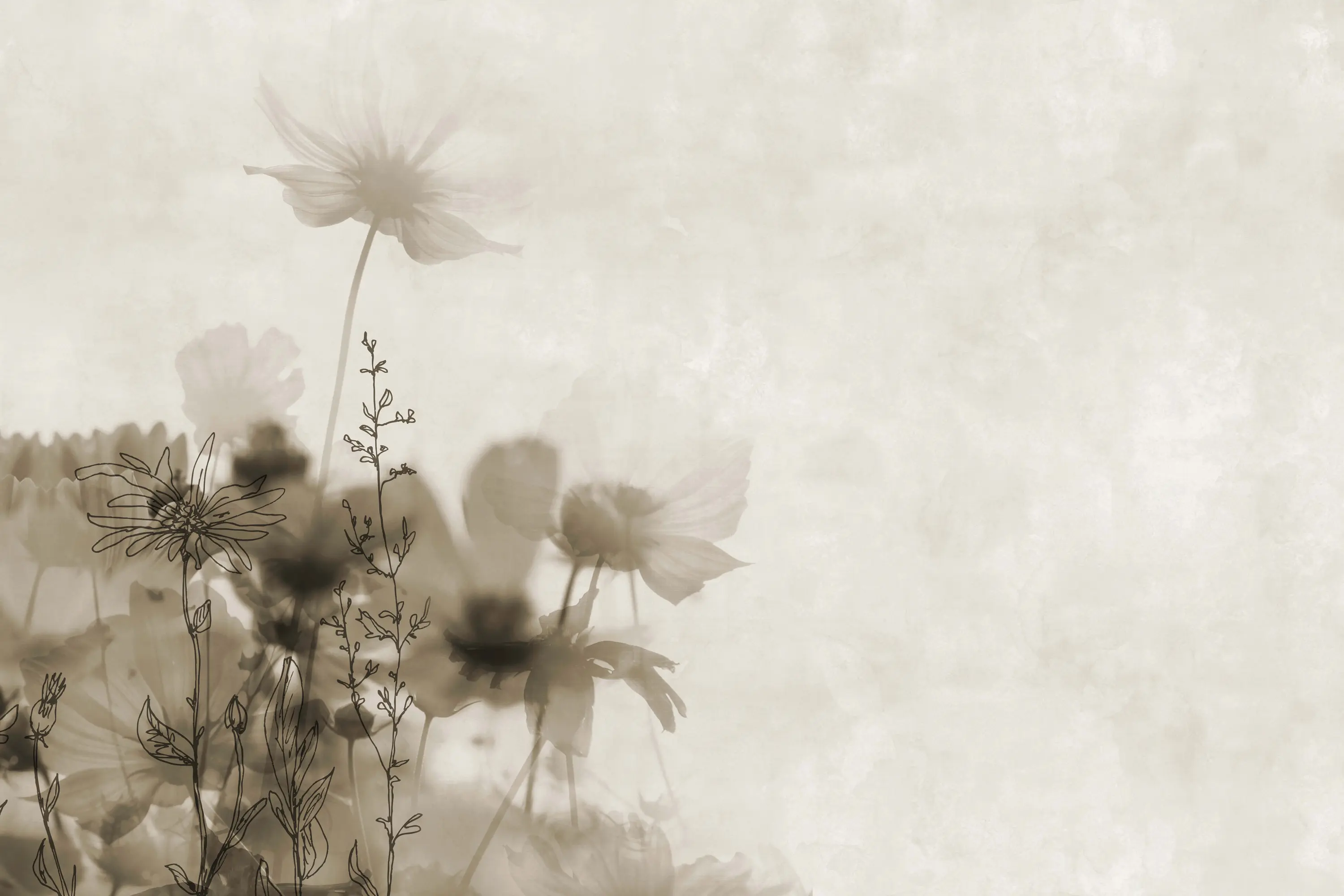 GLAMORA - Meadow