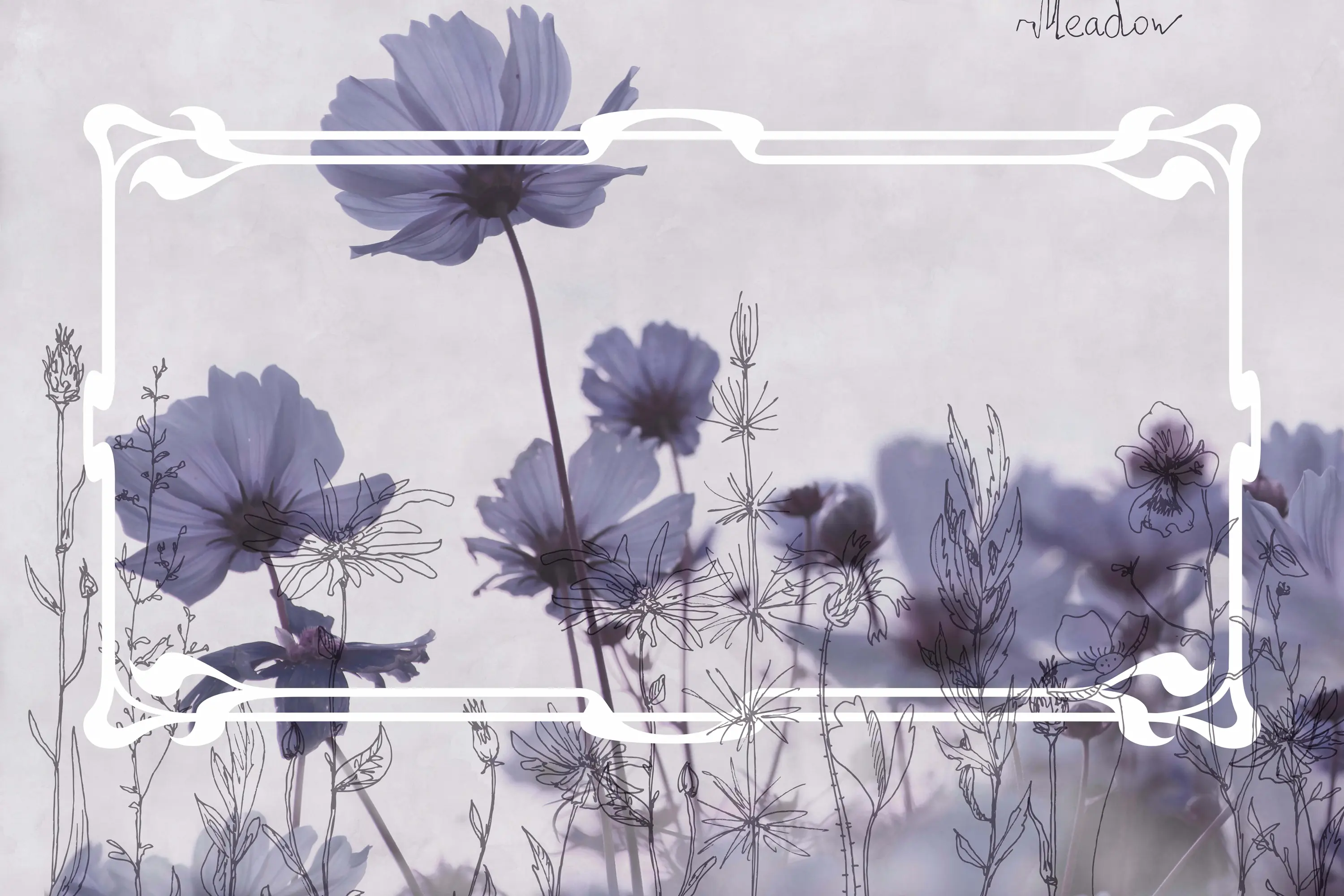 GLAMORA - Meadow