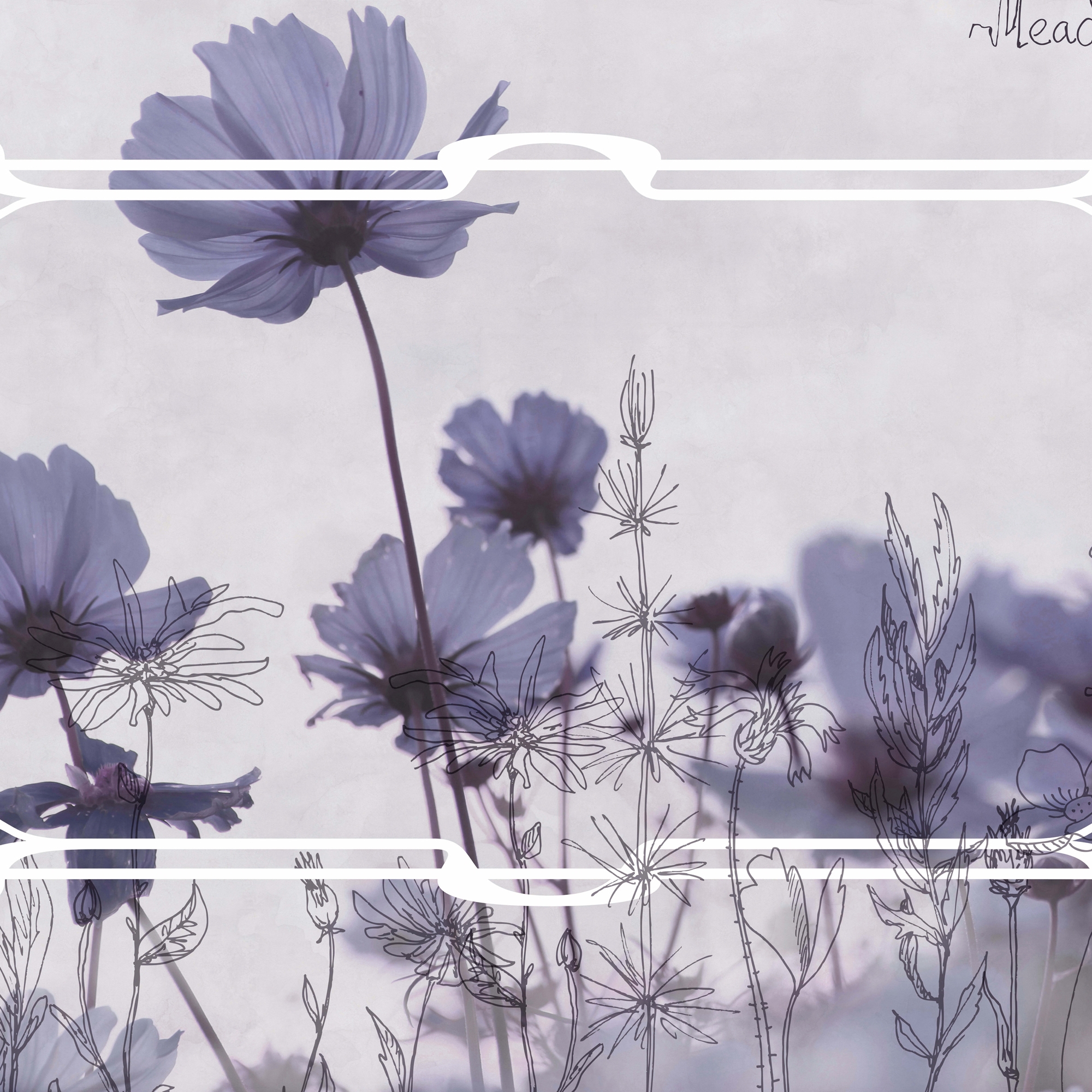 Meadow