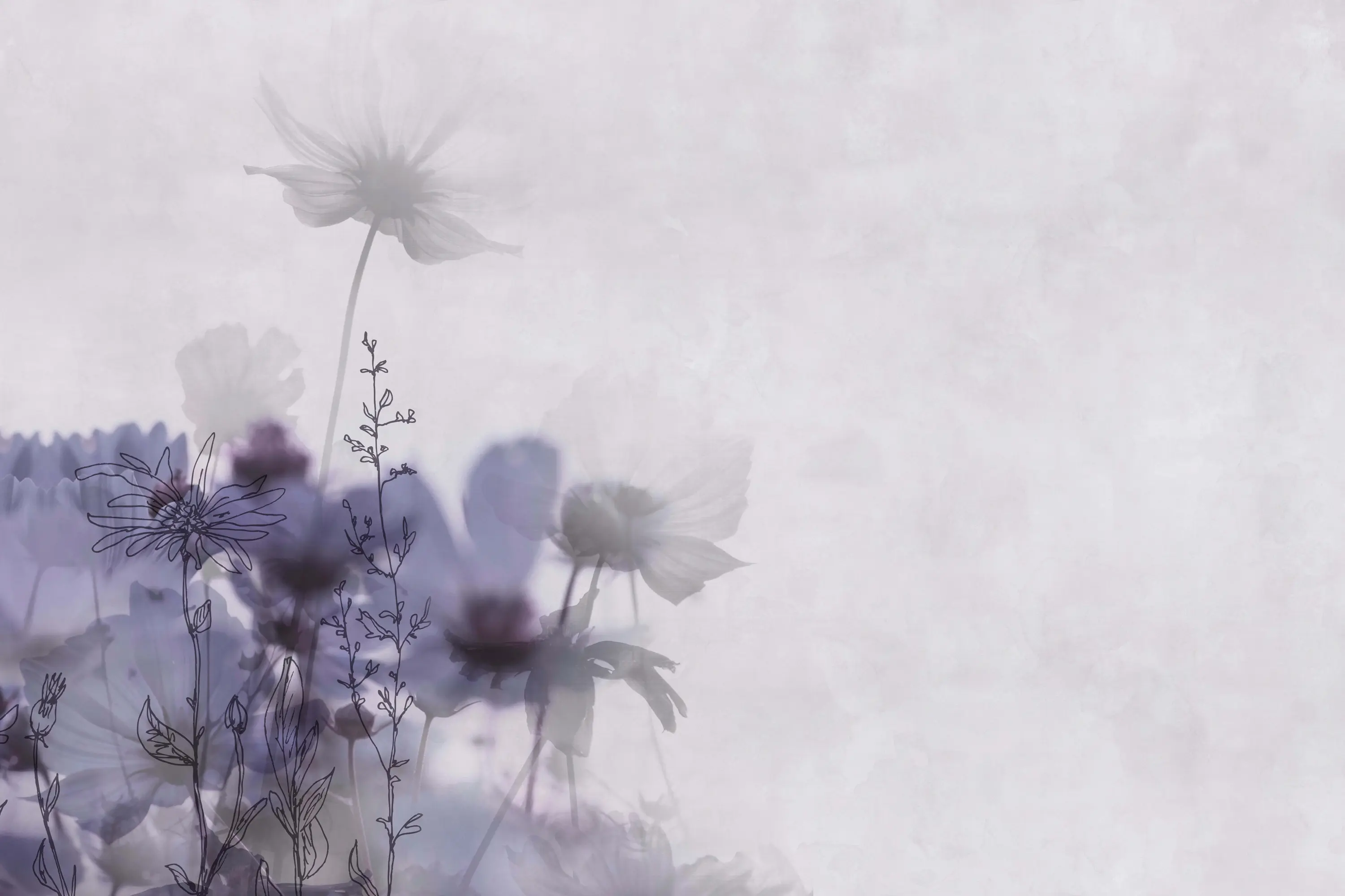 GLAMORA - Meadow