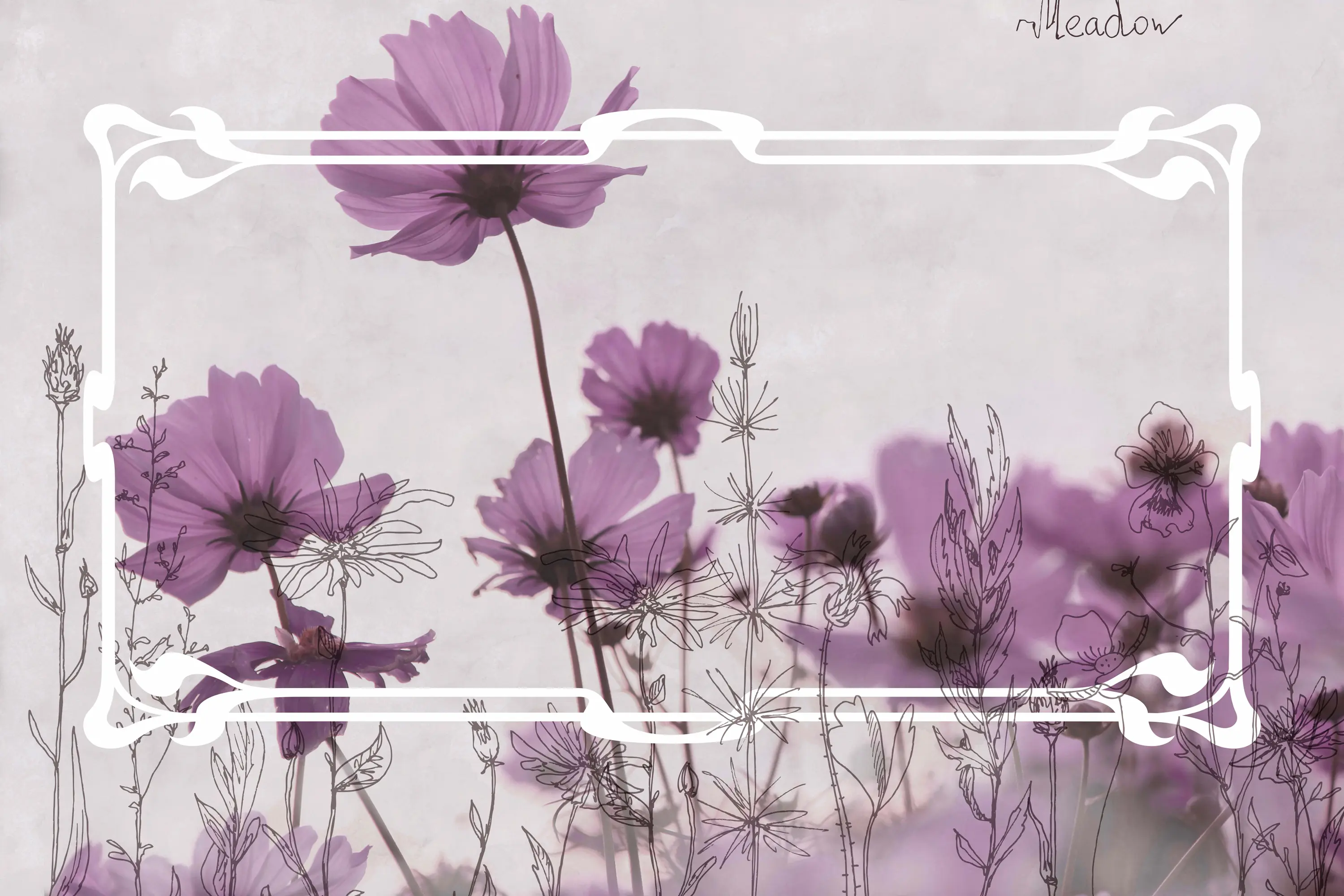 GLAMORA - Meadow