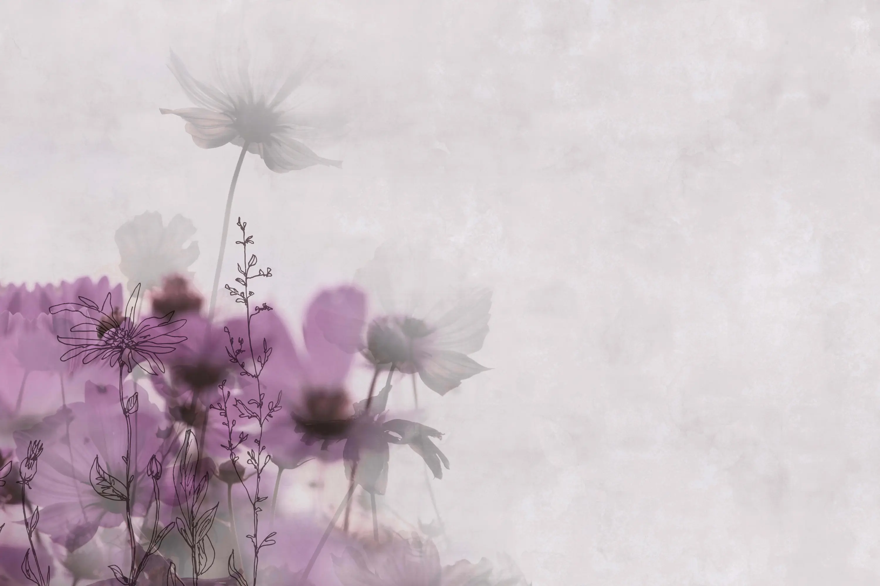 GLAMORA - Meadow