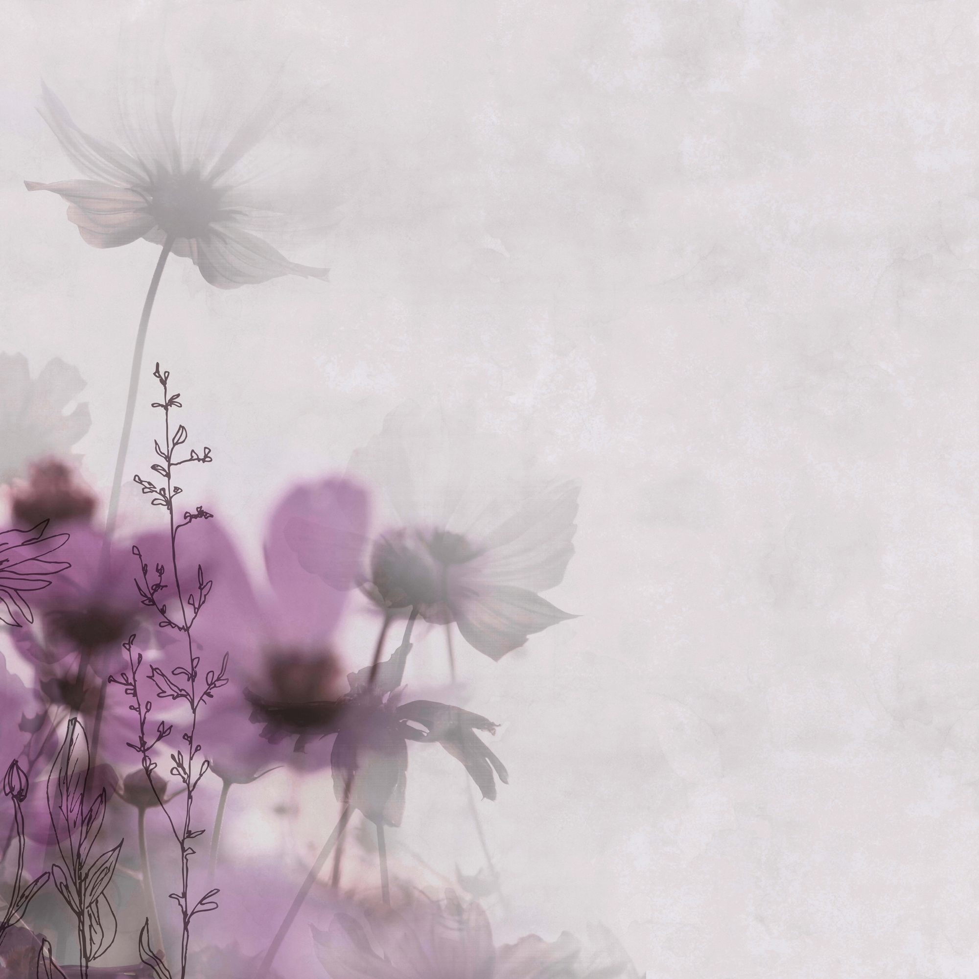 Display product Meadow from manufacturer GLAMORA