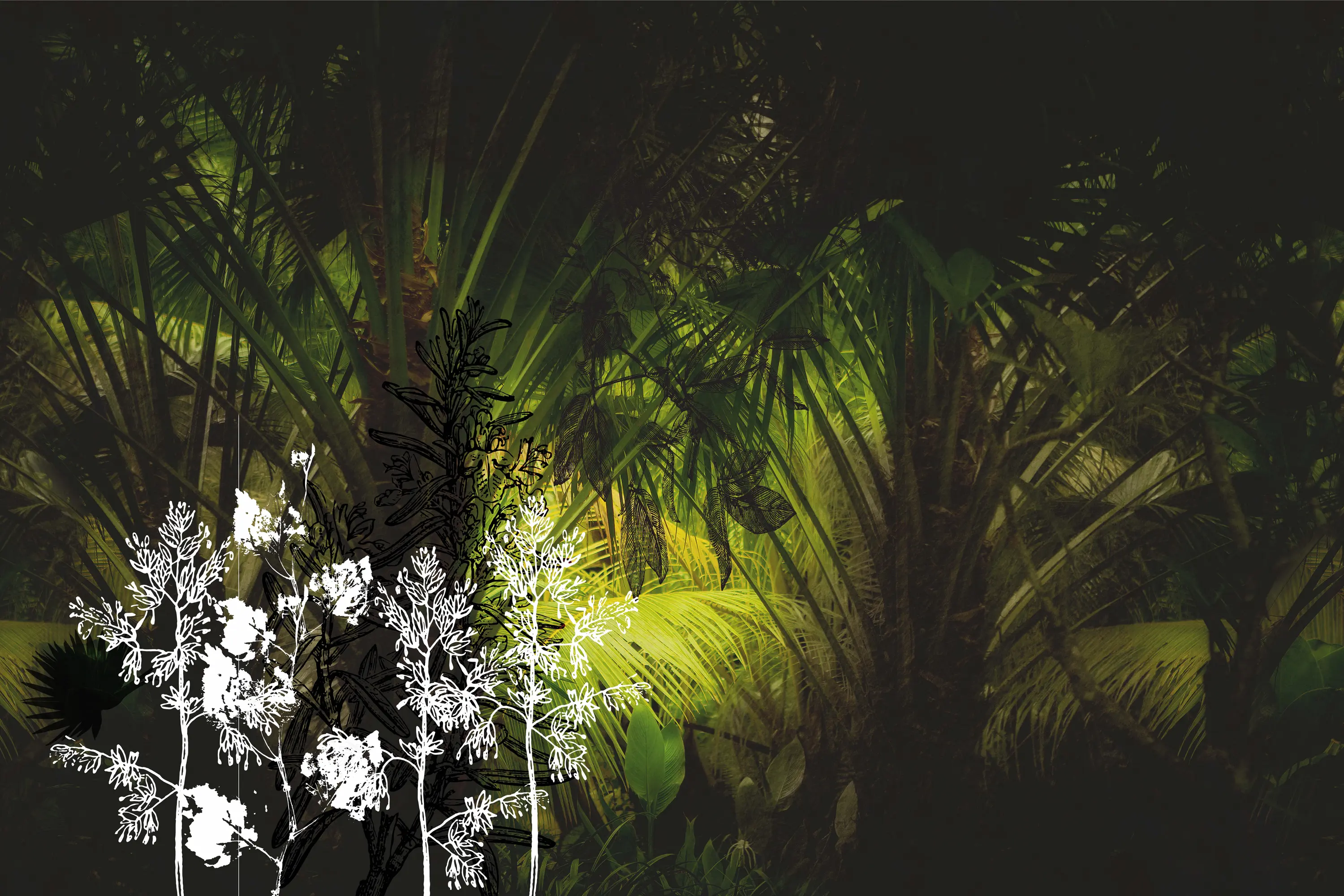 GLAMORA - Palms