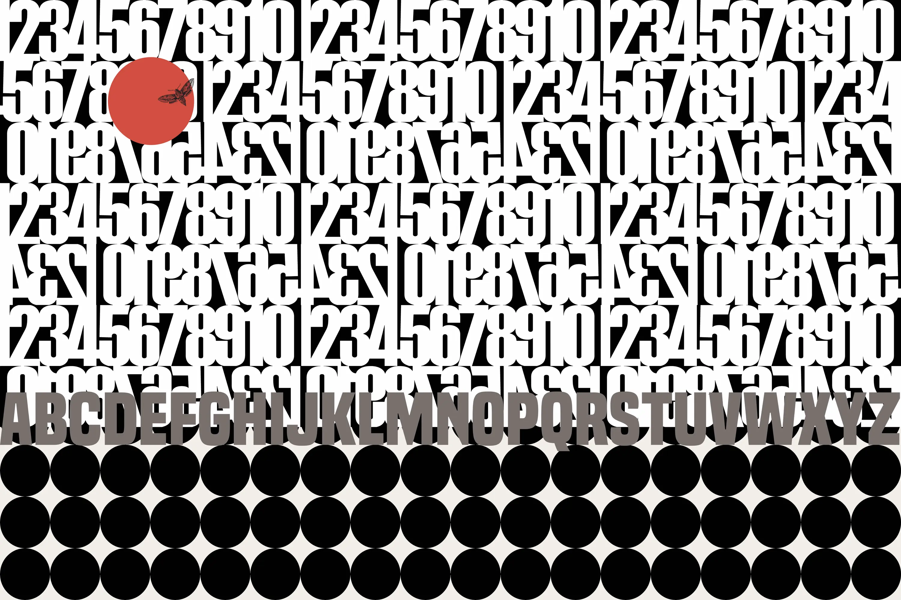 GLAMORA - Moon Dancer