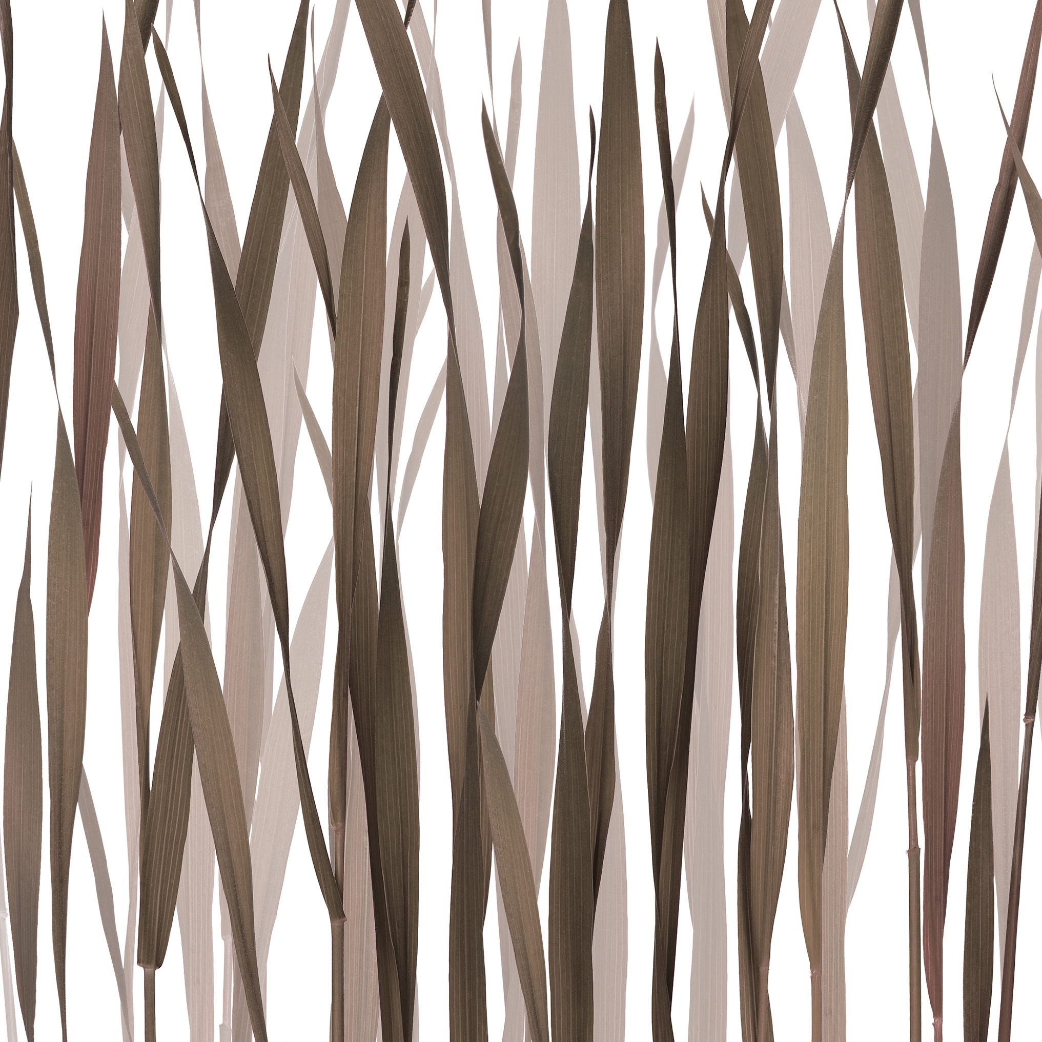 Greenfields