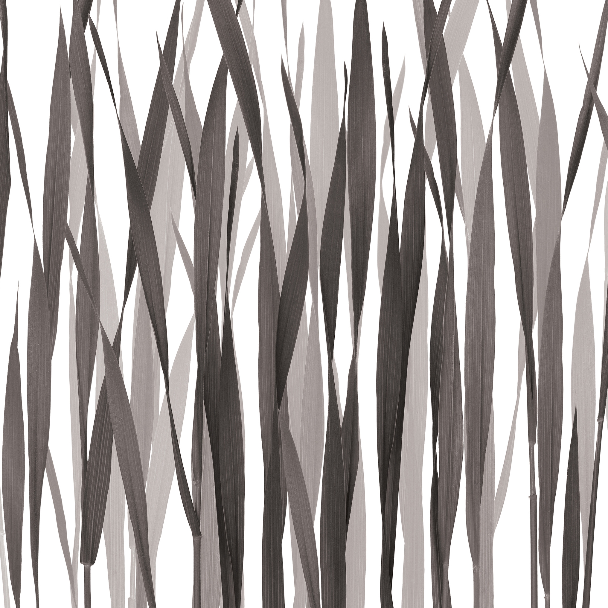 Greenfields