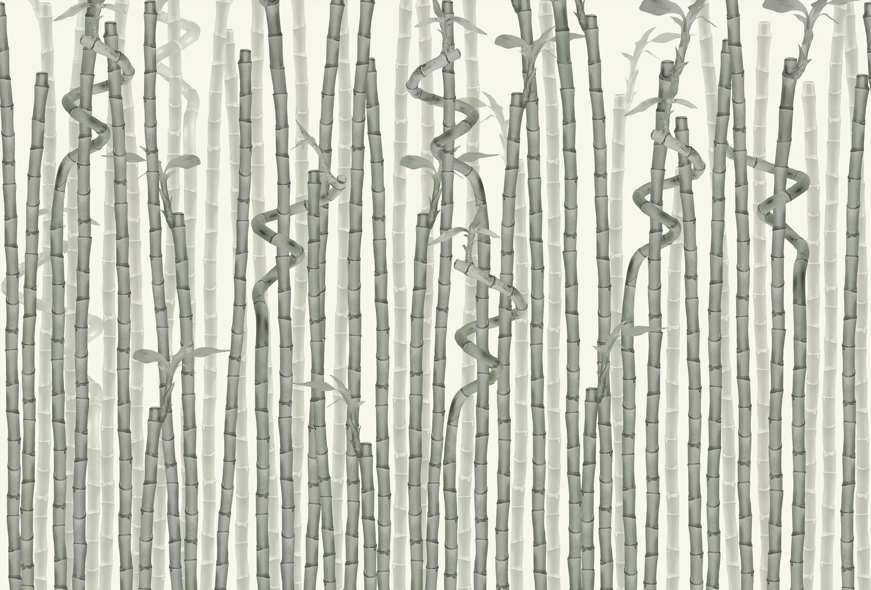 GLAMORA - Sushi Lines