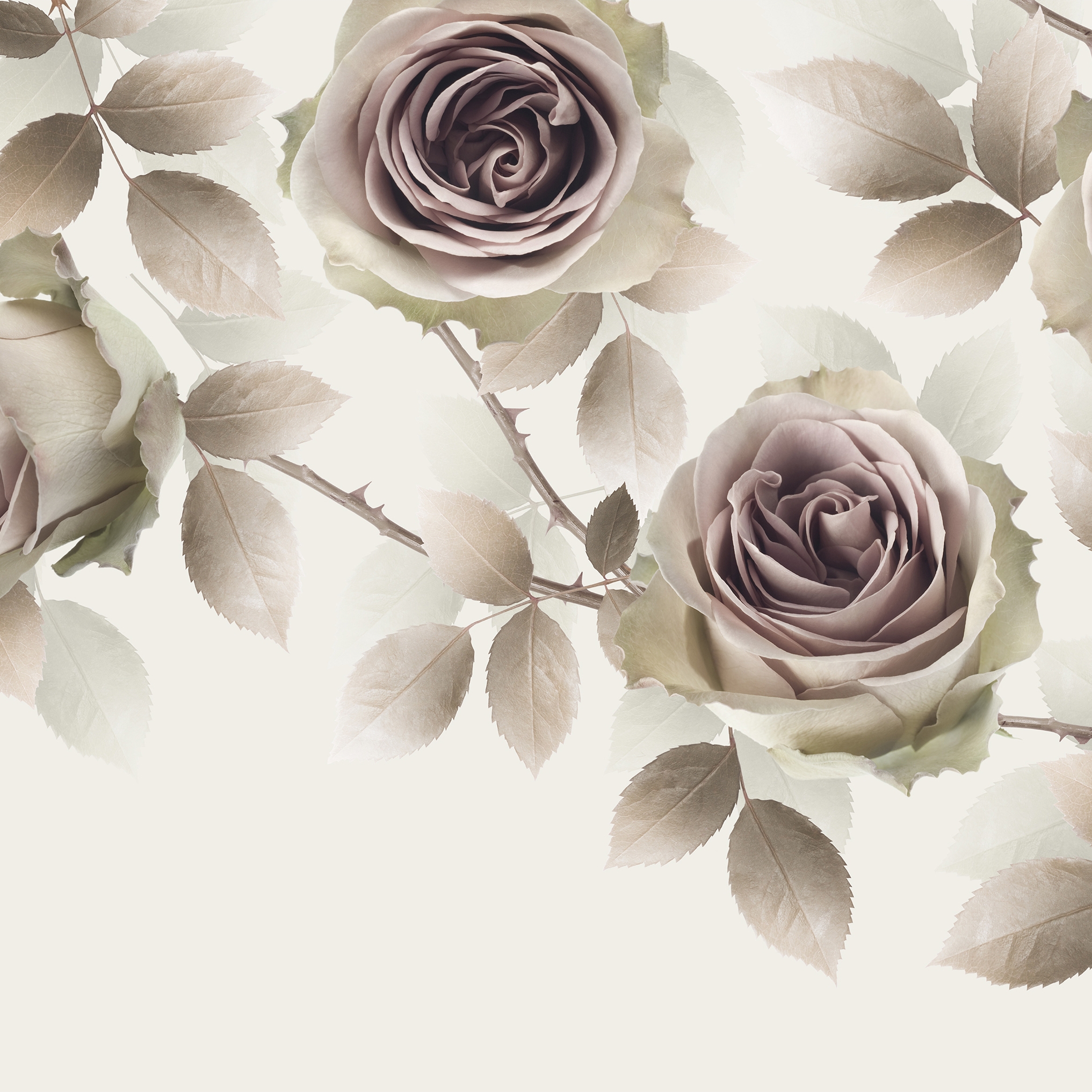 Produkt New Romantic des Herstellers GLAMORA anzeigen