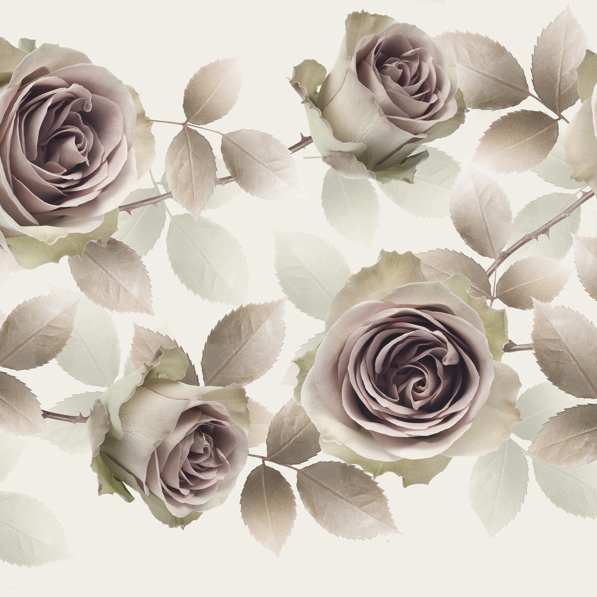 Display product New Romantic from manufacturer GLAMORA