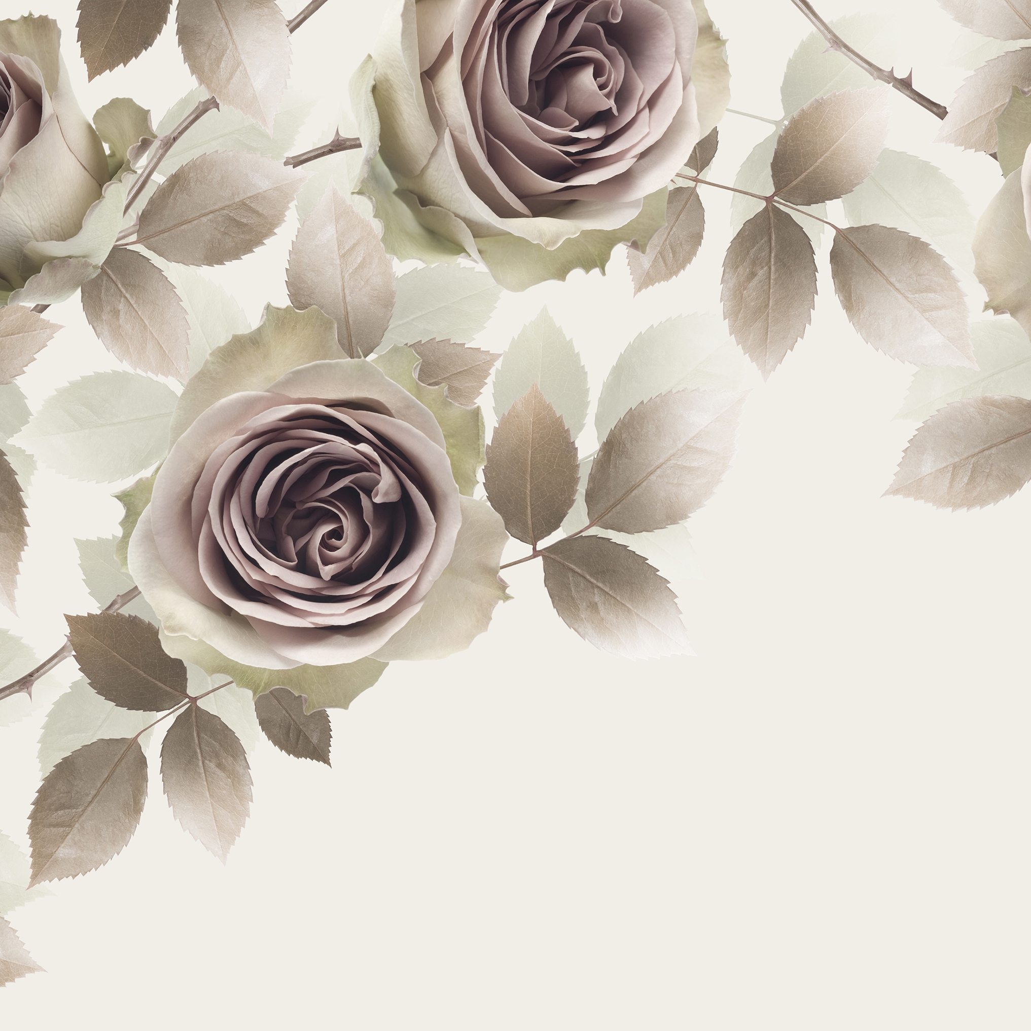 Display product New Romantic from manufacturer GLAMORA