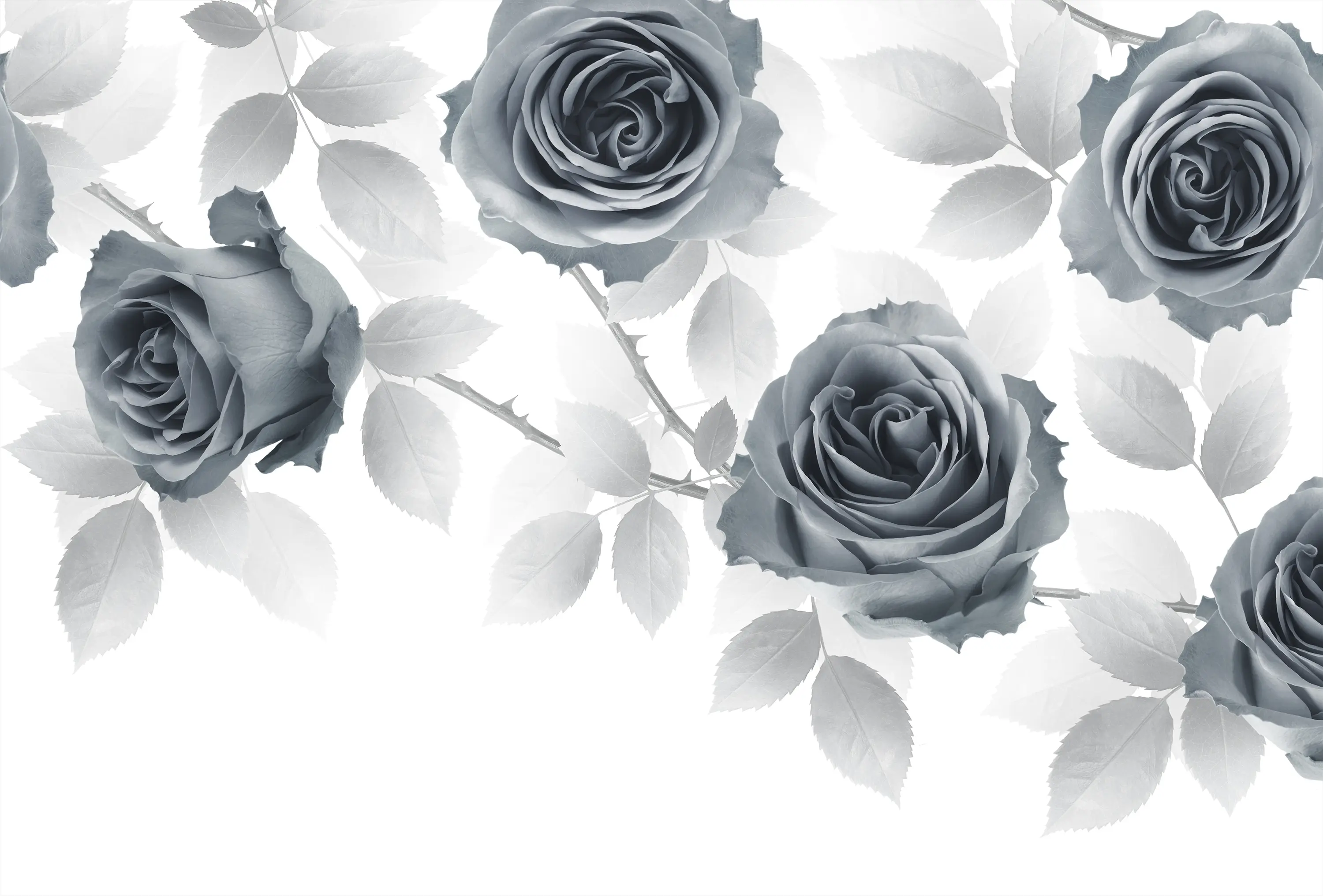 GLAMORA - New Romantic