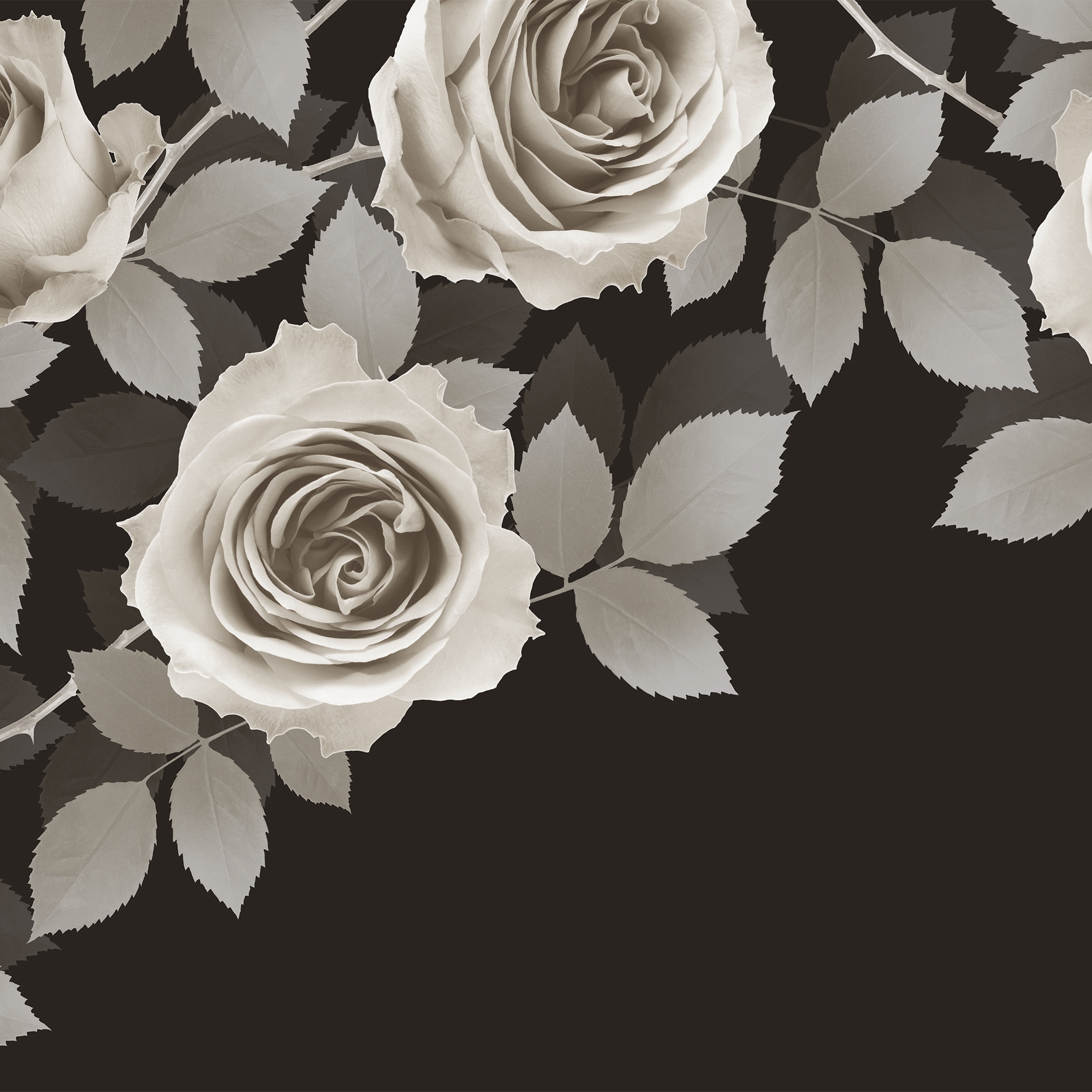 Afficher le produit New Romantic du fabricant GLAMORA