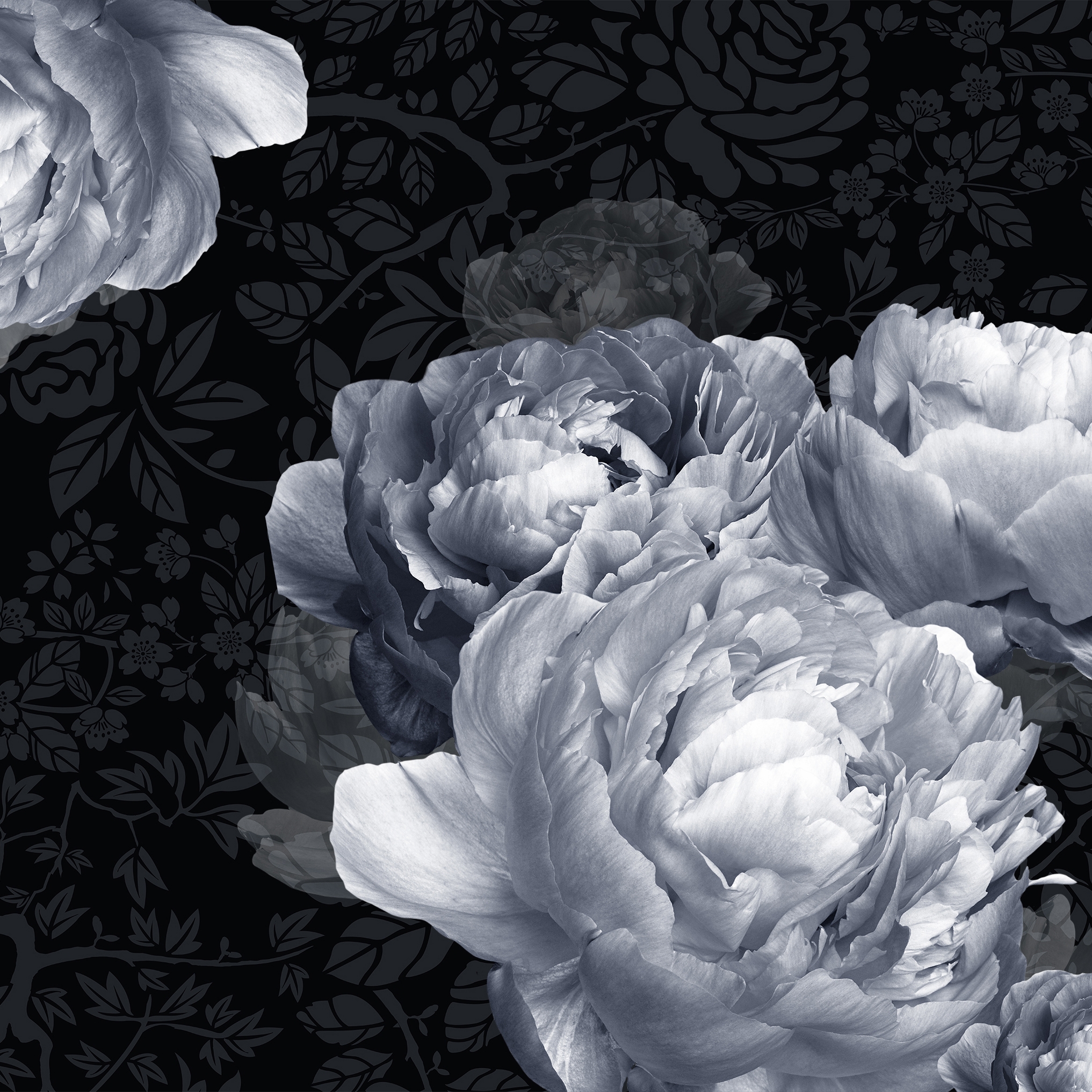 Display product Bolshoi from manufacturer GLAMORA
