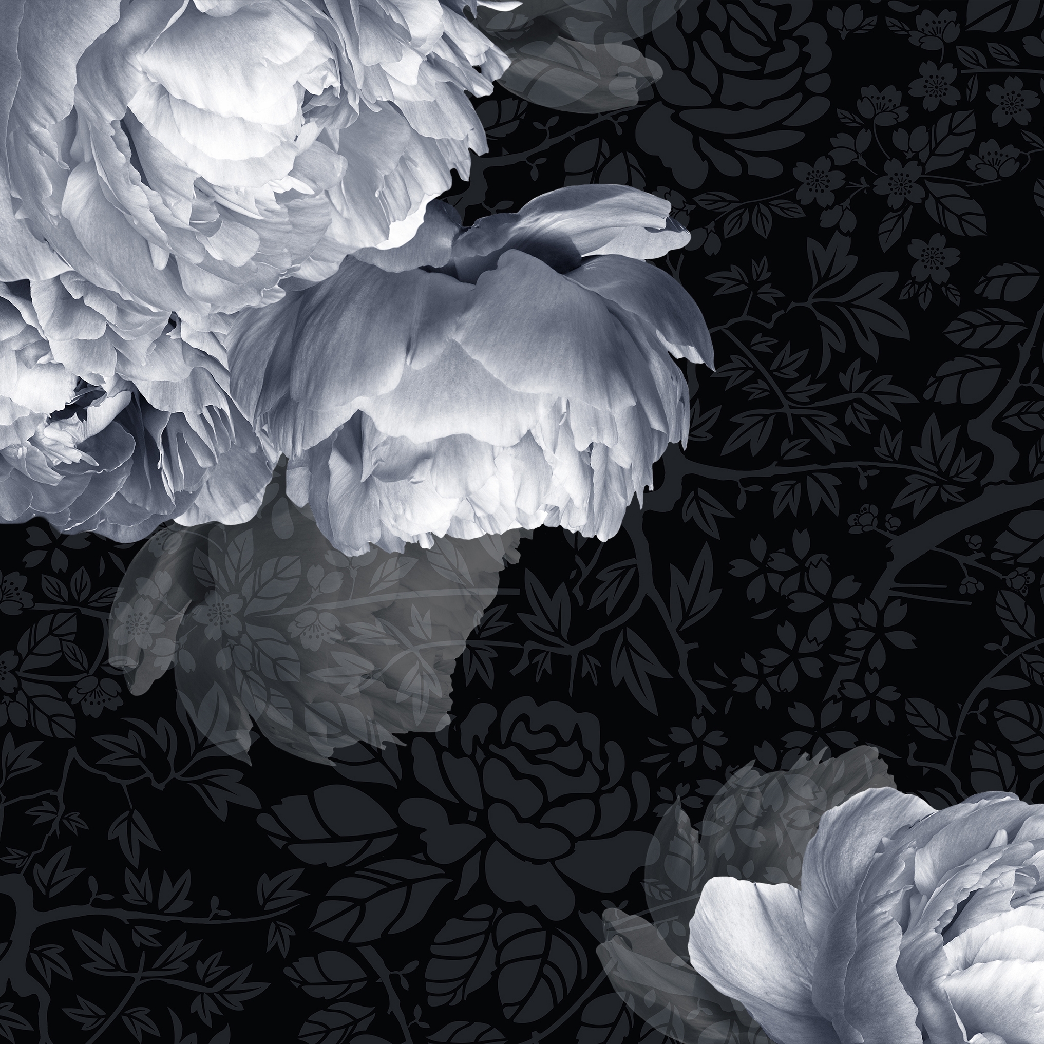 Display product Bolshoi from manufacturer GLAMORA