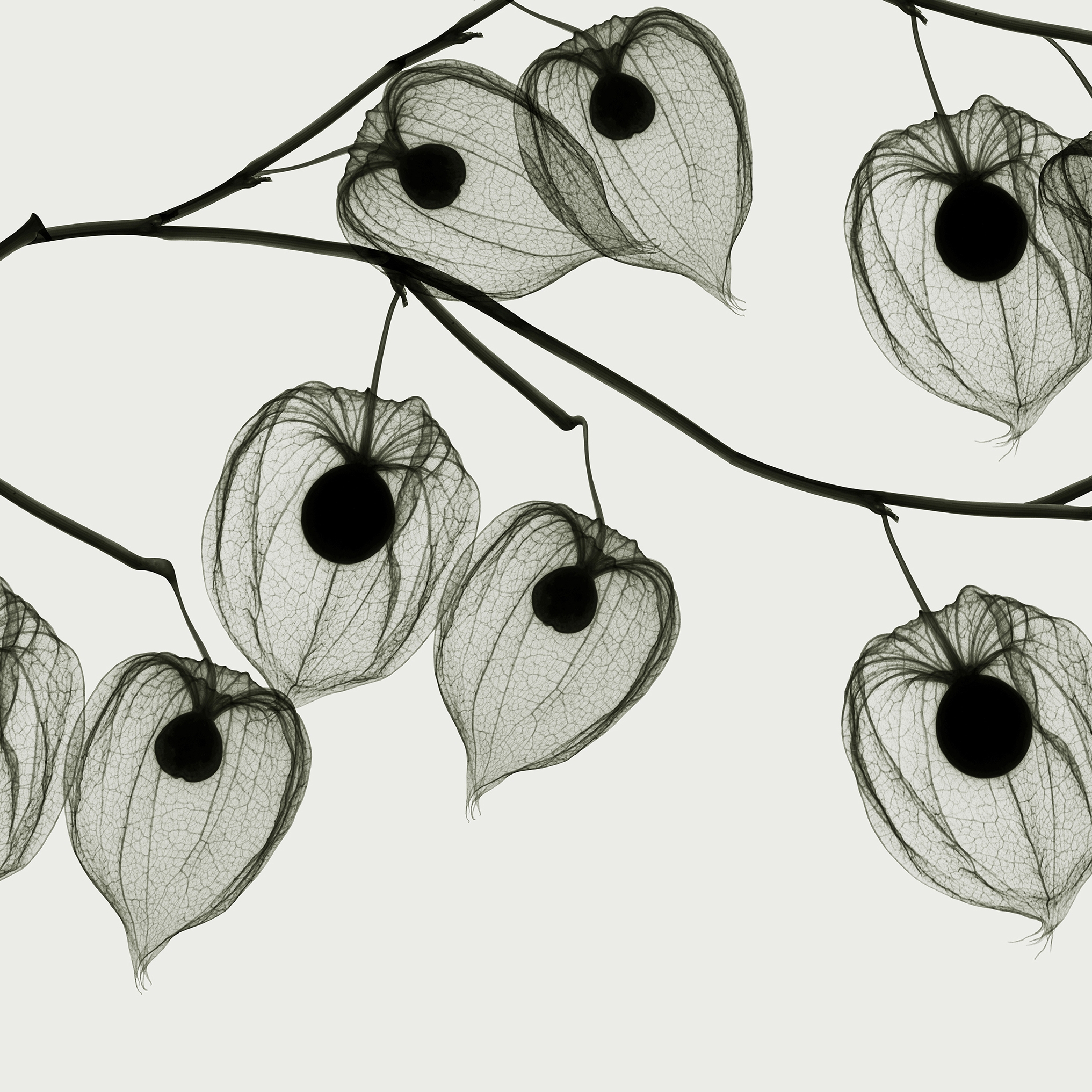 Asakusa