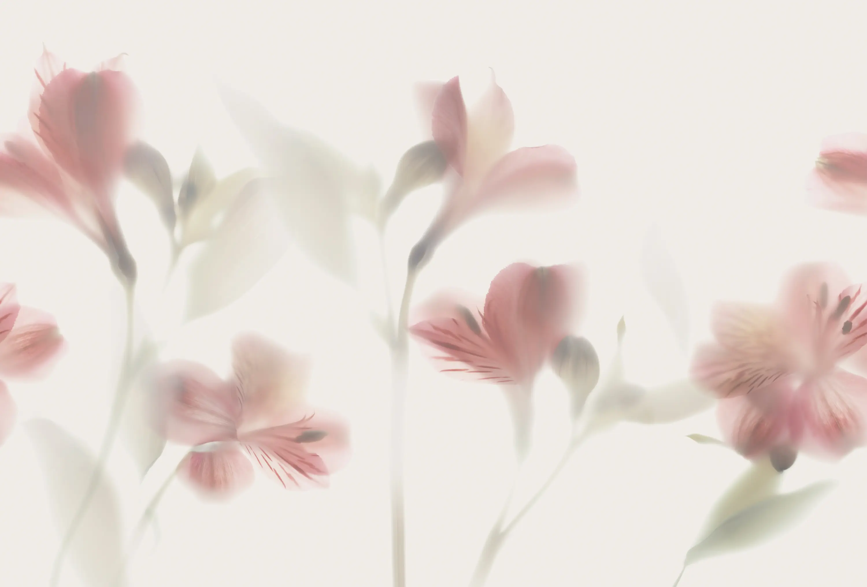 GLAMORA - Lazy Sundae