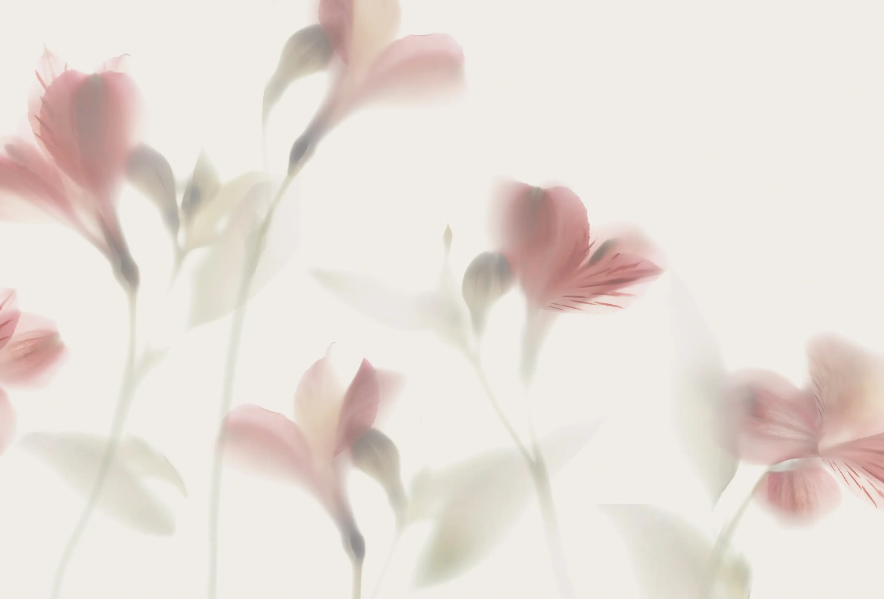 GLAMORA - Lazy Sundae