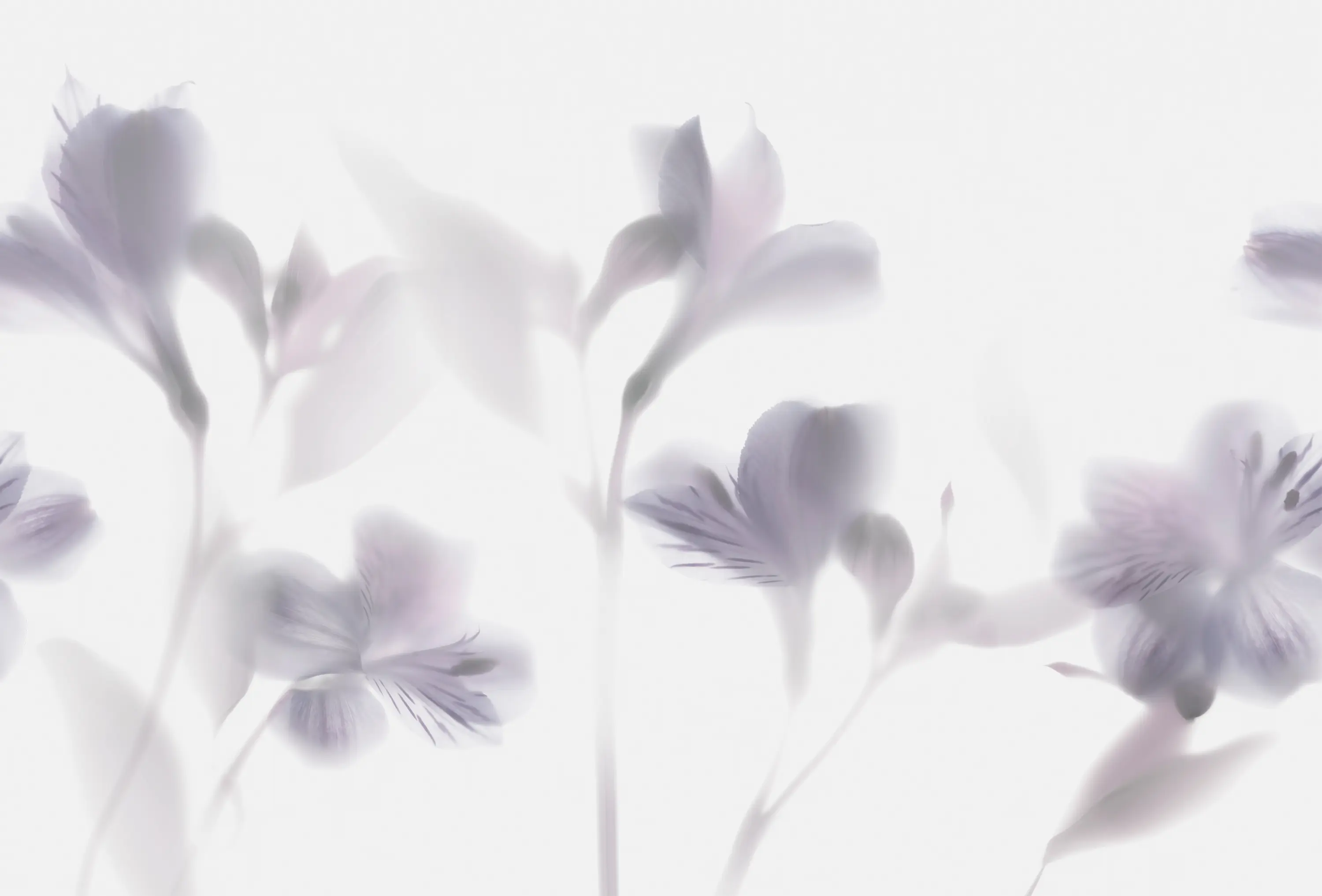 GLAMORA - Lazy Sundae