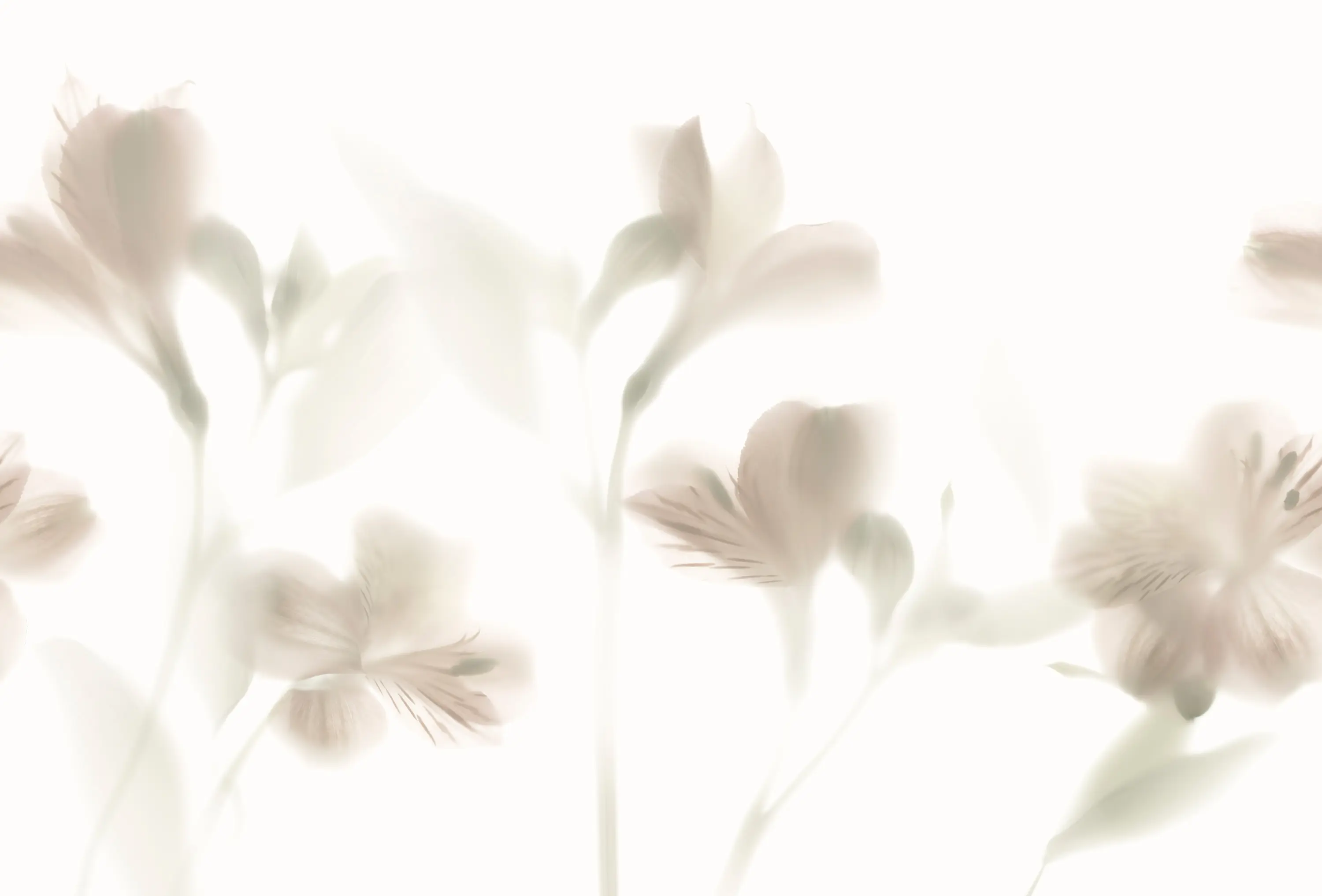 GLAMORA - Lazy Sundae