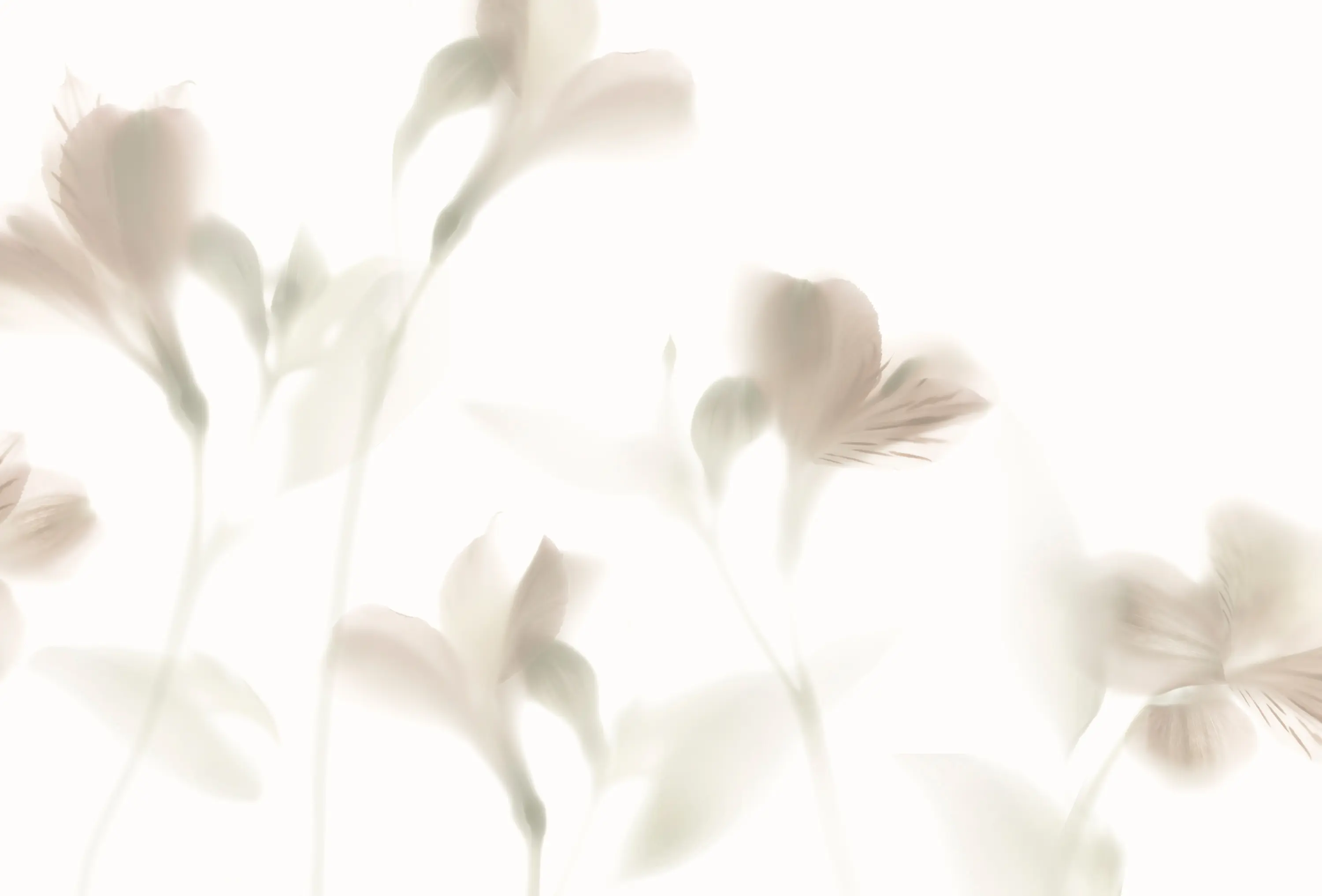 GLAMORA - Lazy Sundae