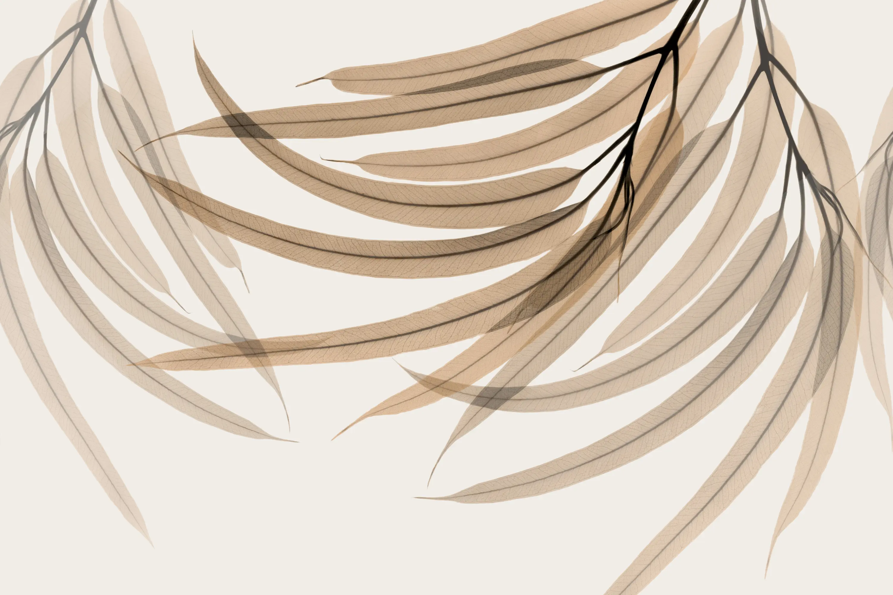 GLAMORA - Green Fingers